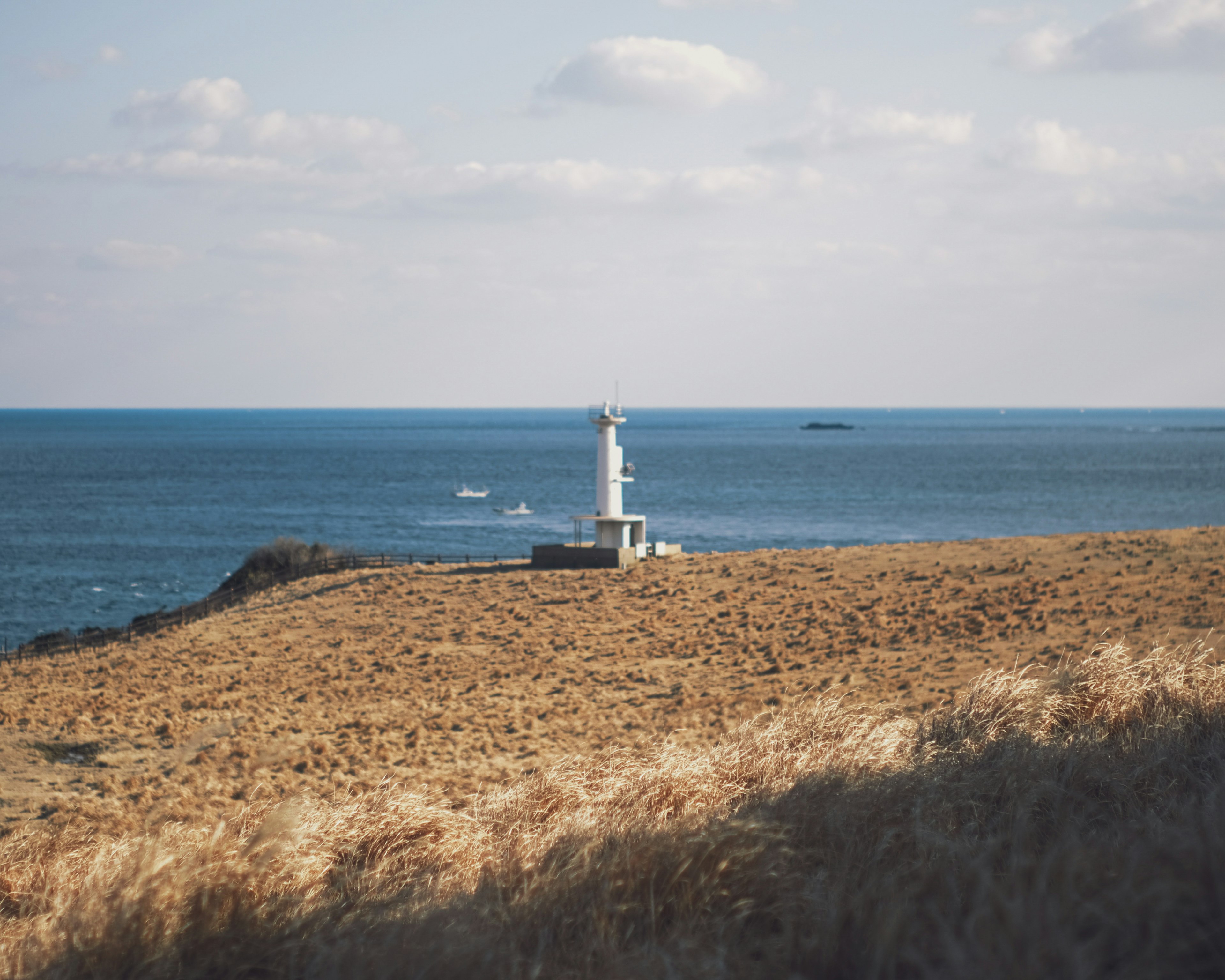 White lighthouse near the sea with a dry grassland landscape