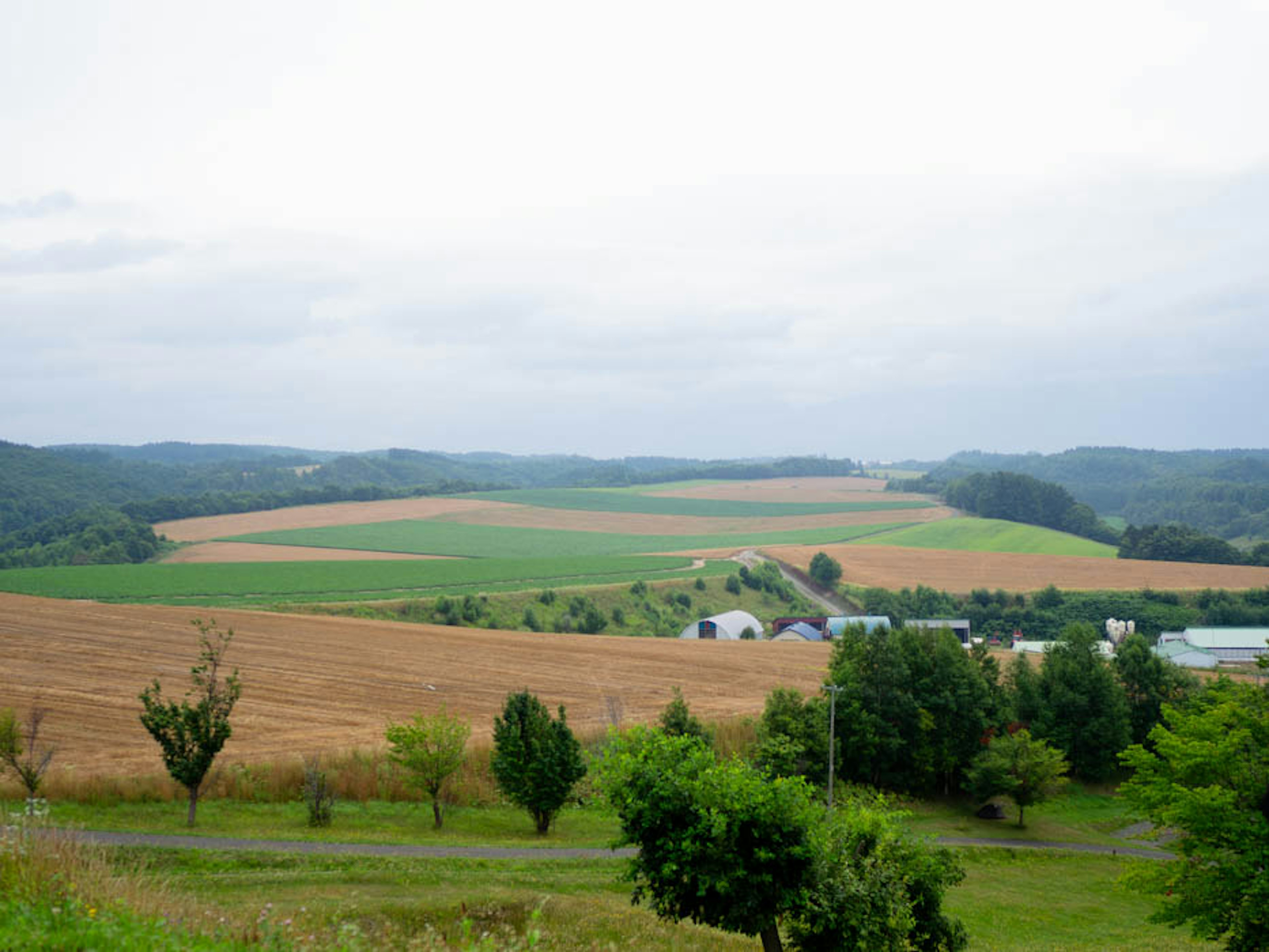 Collines verdoyantes et terres agricoles s'étendant sous un ciel nuageux avec des montagnes lointaines