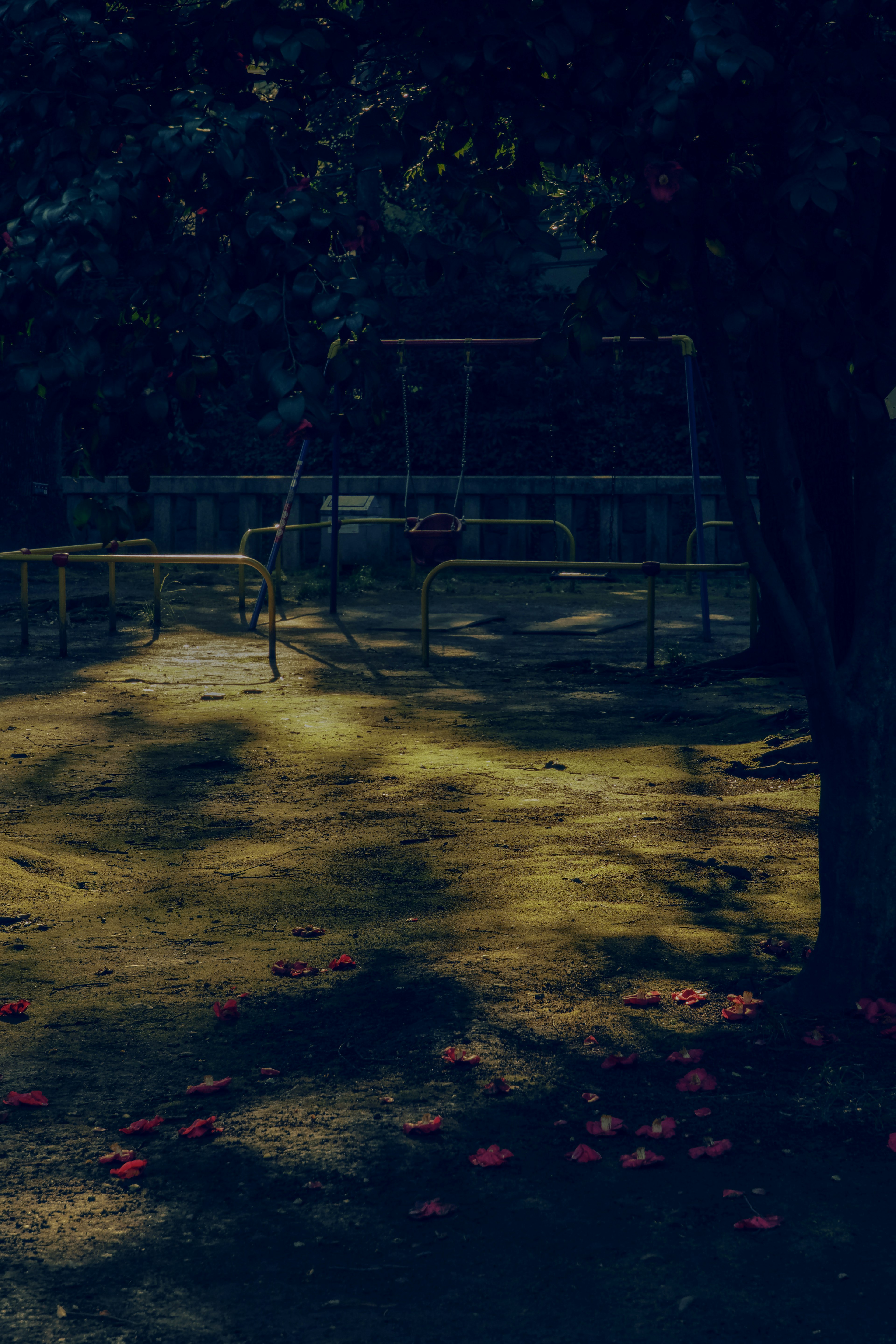 Dimly lit park featuring a swing set and fallen red leaves