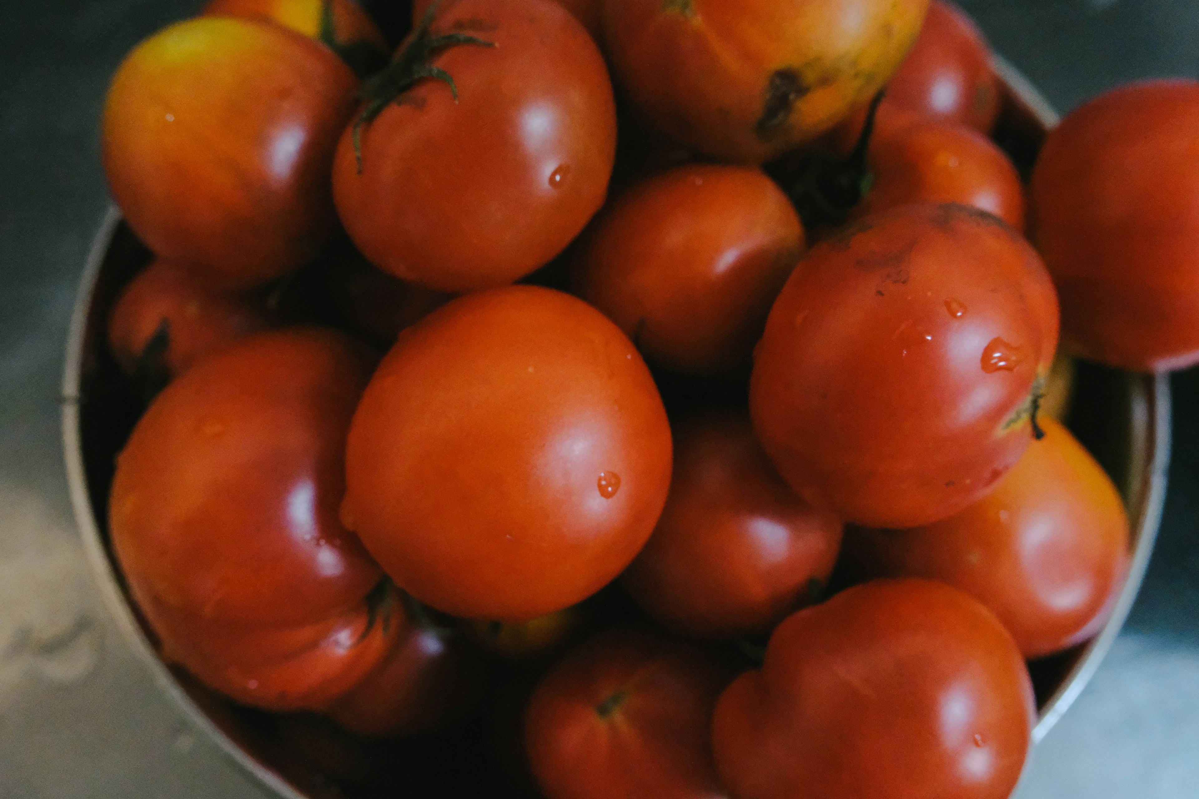 A bowl filled with fresh red tomatoes