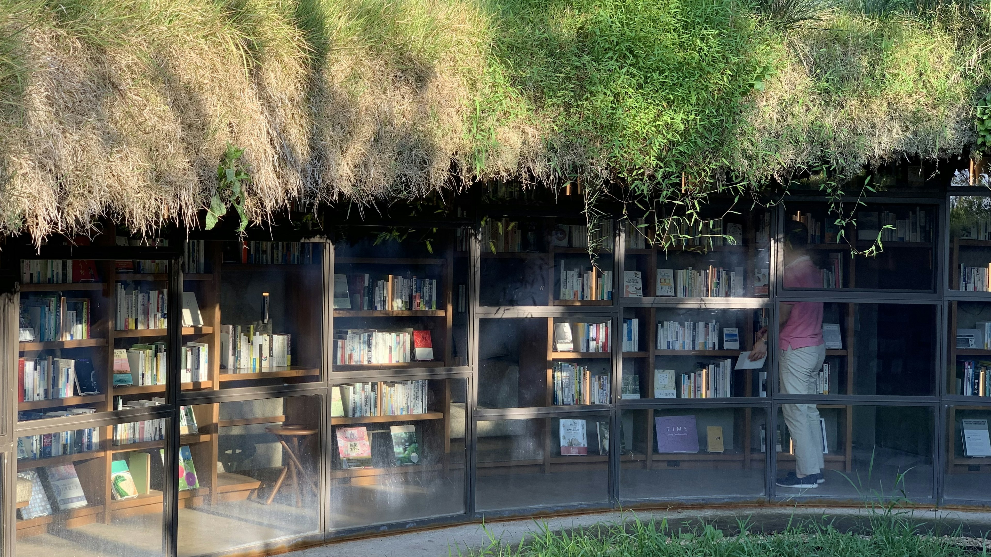 Outdoor library with bookshelves surrounded by nature