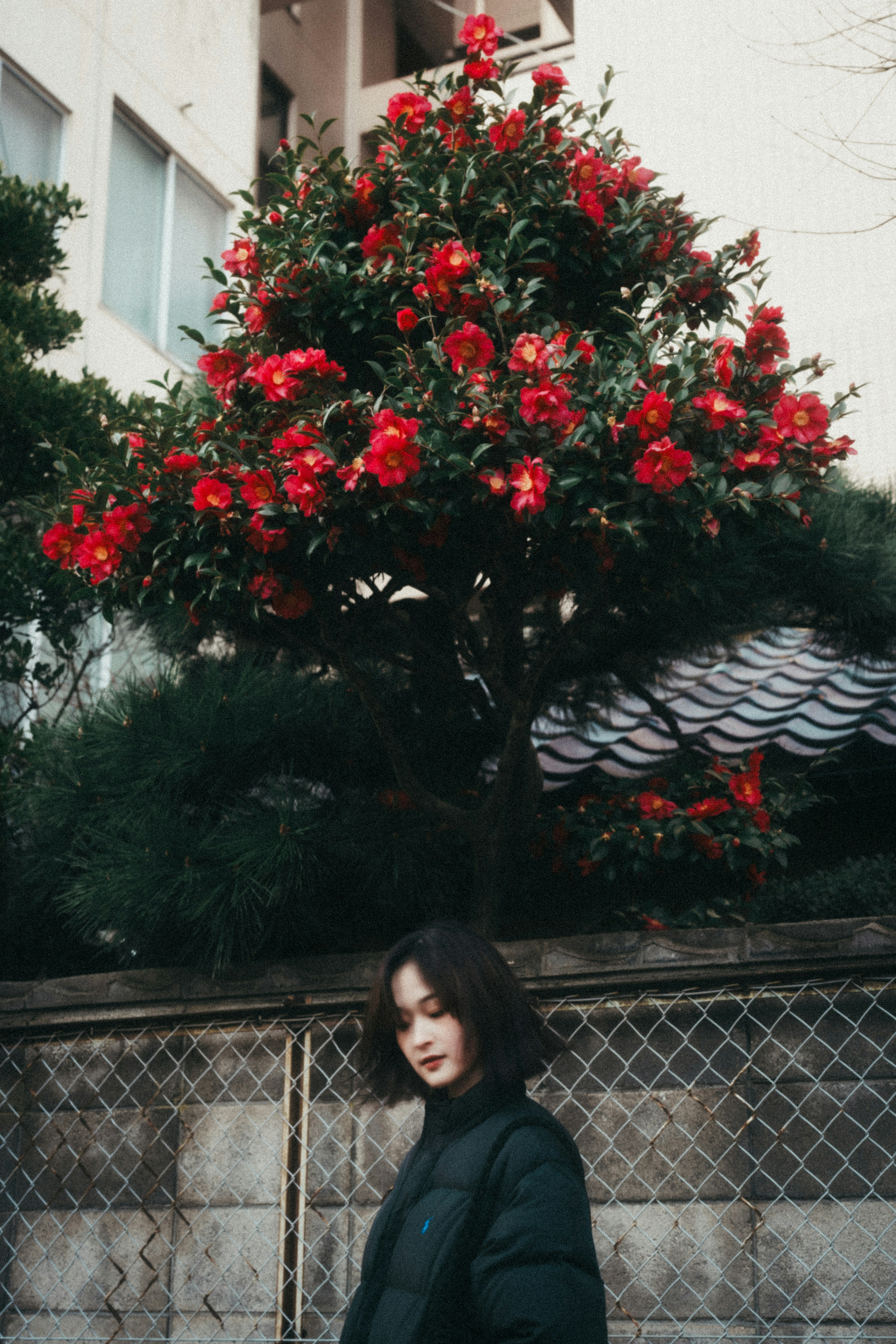 Une femme se tenant devant un arbre avec des fleurs rouges