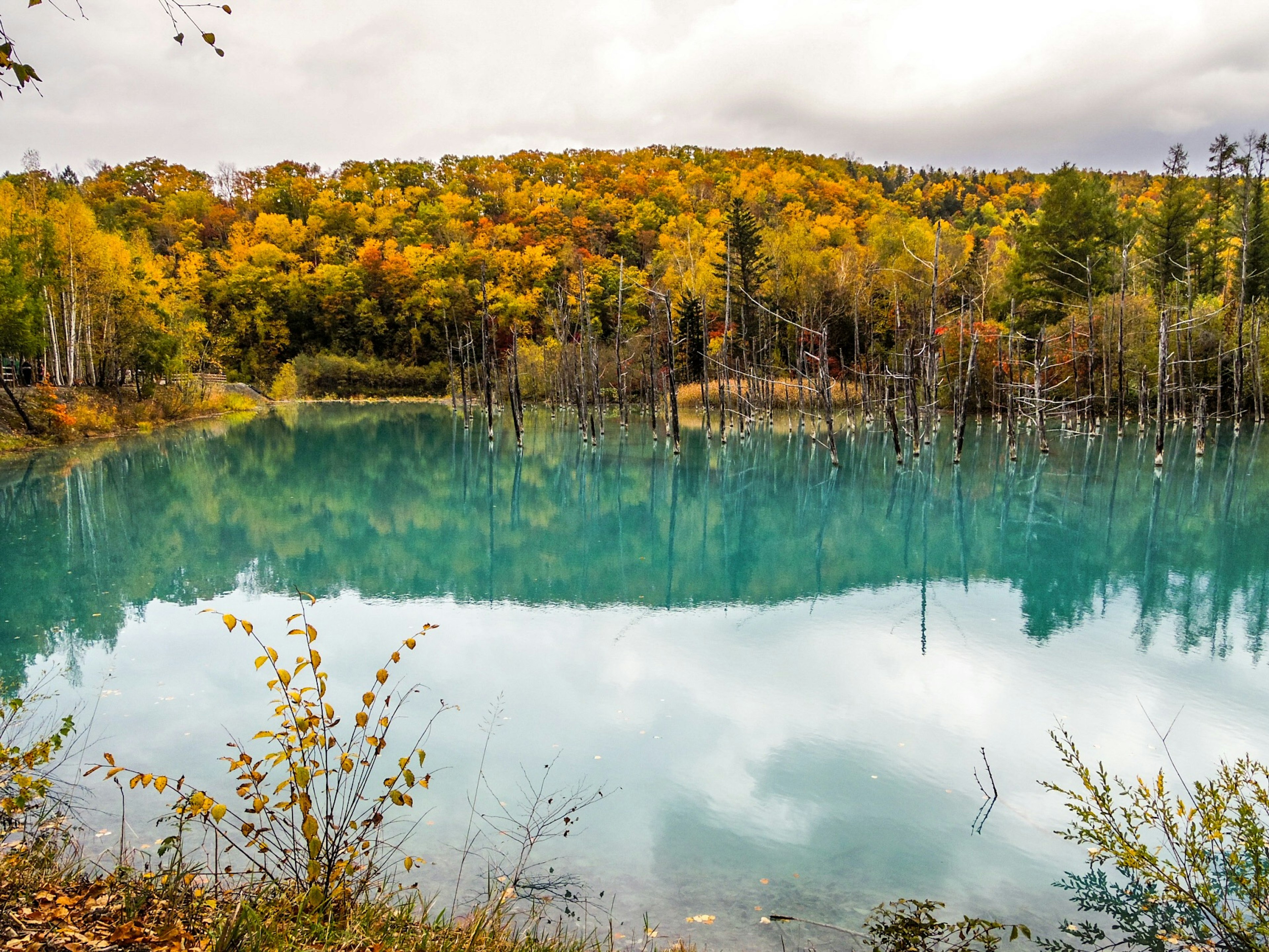 Ruhiger See mit türkisfarbenem Wasser, das das Herbstlaub spiegelt