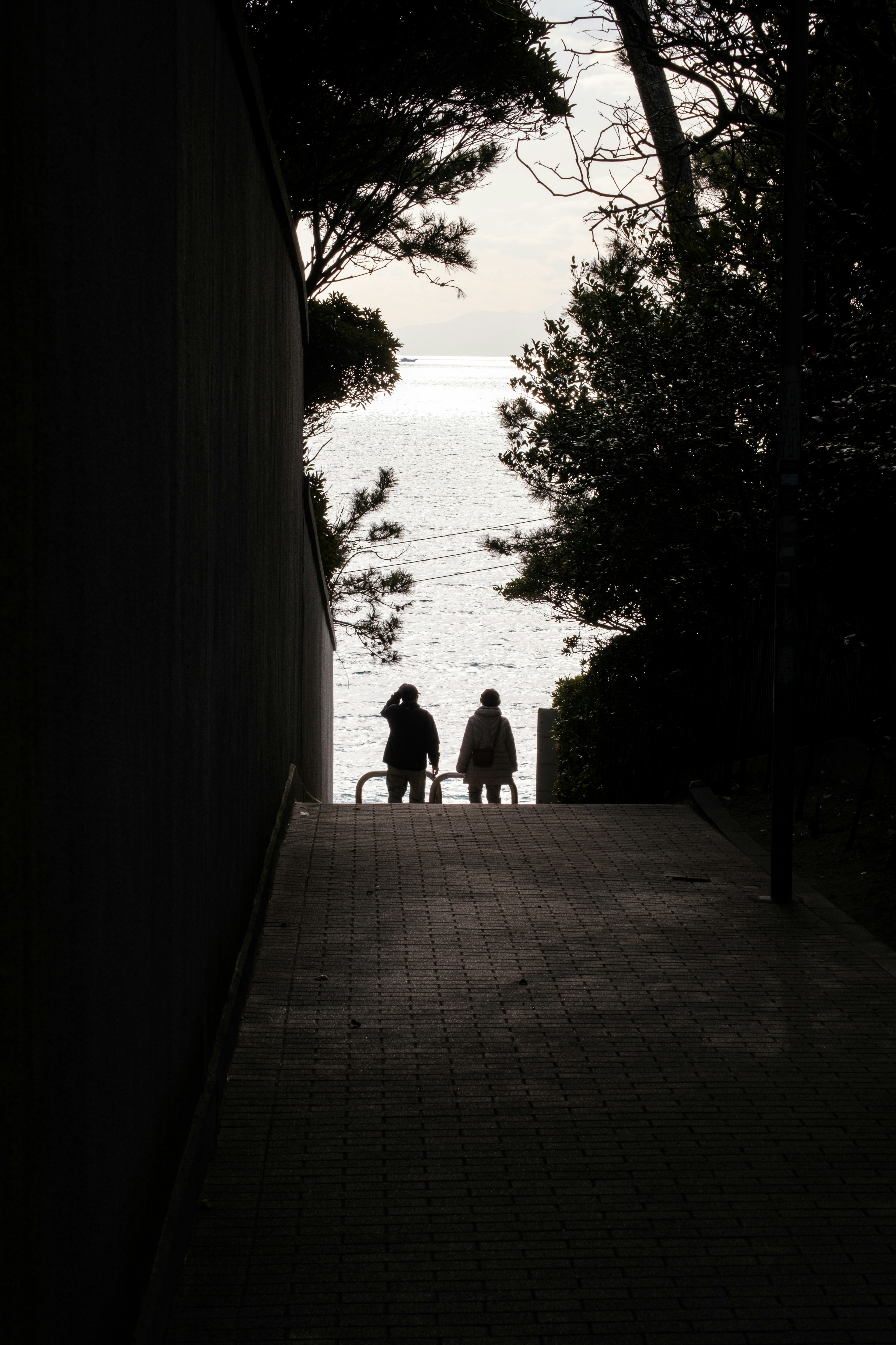 Silhouette of two people against a sea background with trees