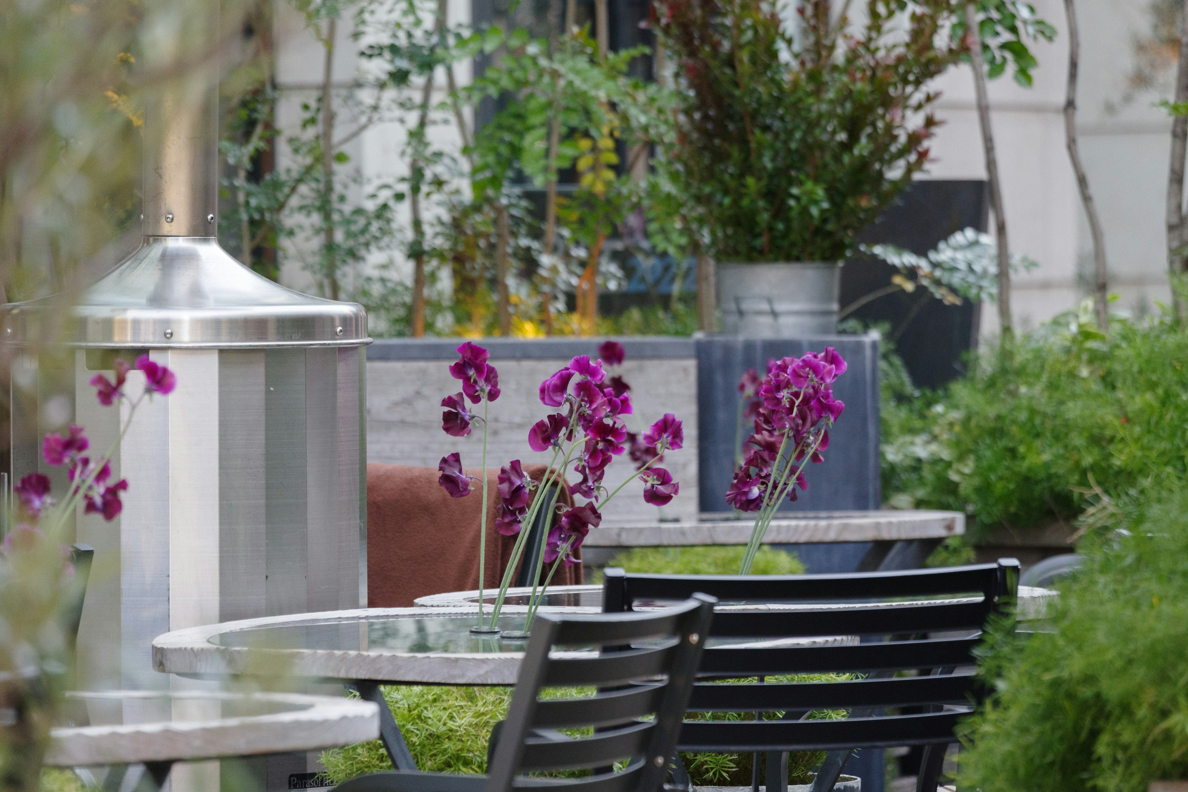 Outdoor seating area featuring tables and chairs with blooming purple flowers