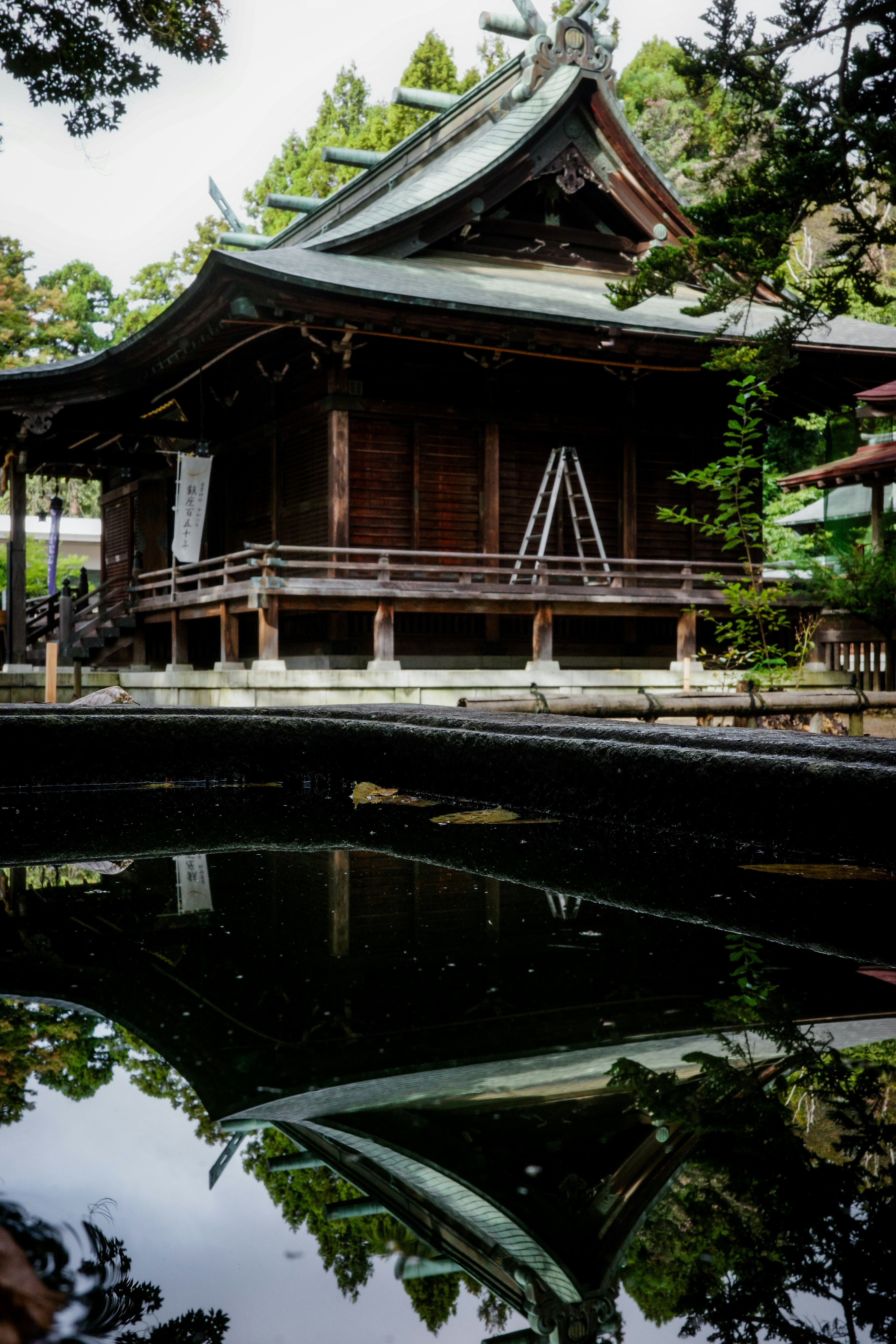 静かな池のほとりに佇む伝統的な日本の神社の建物