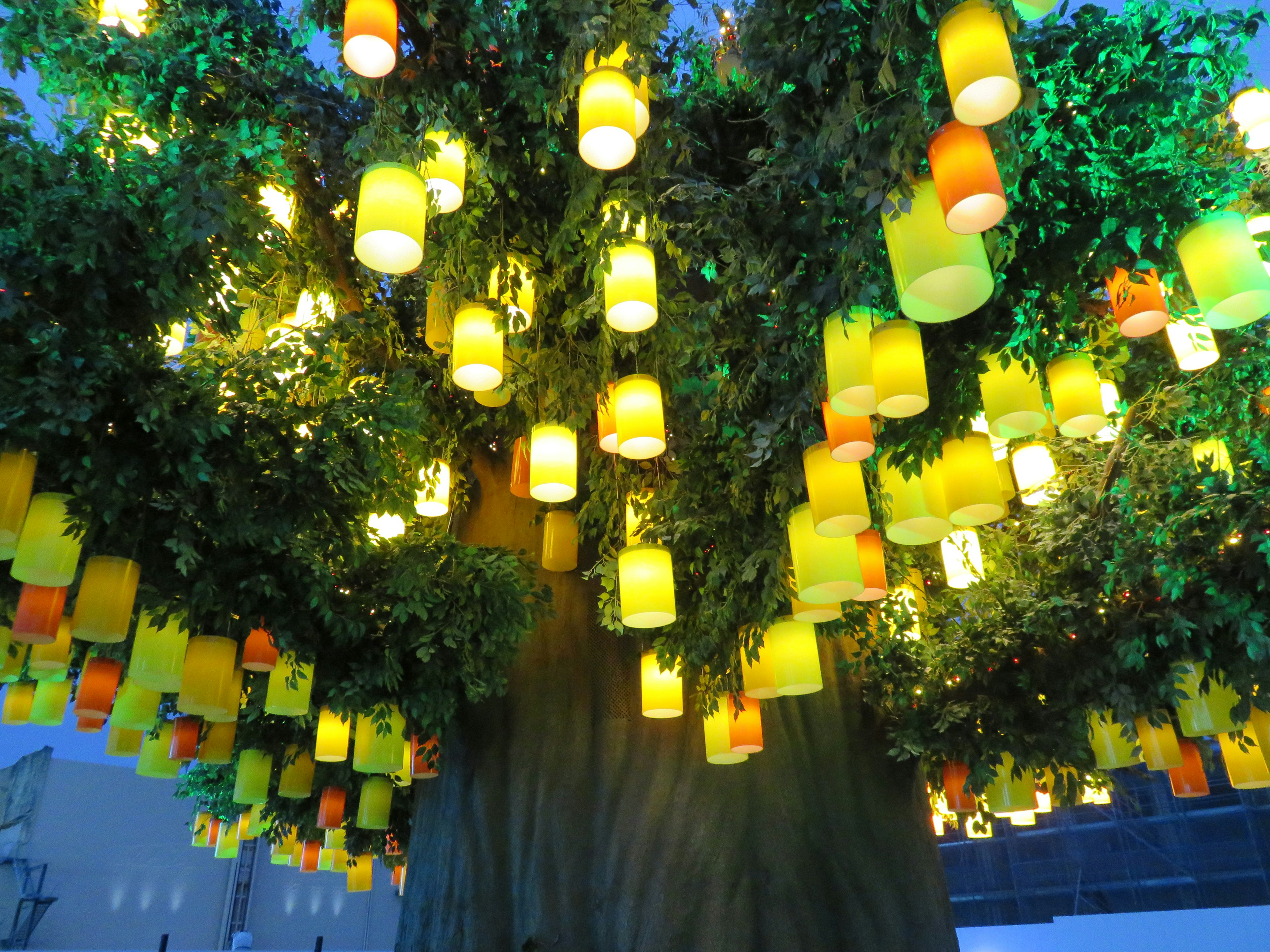 Großer Baum geschmückt mit bunten Laternen, die im Abendlicht leuchten