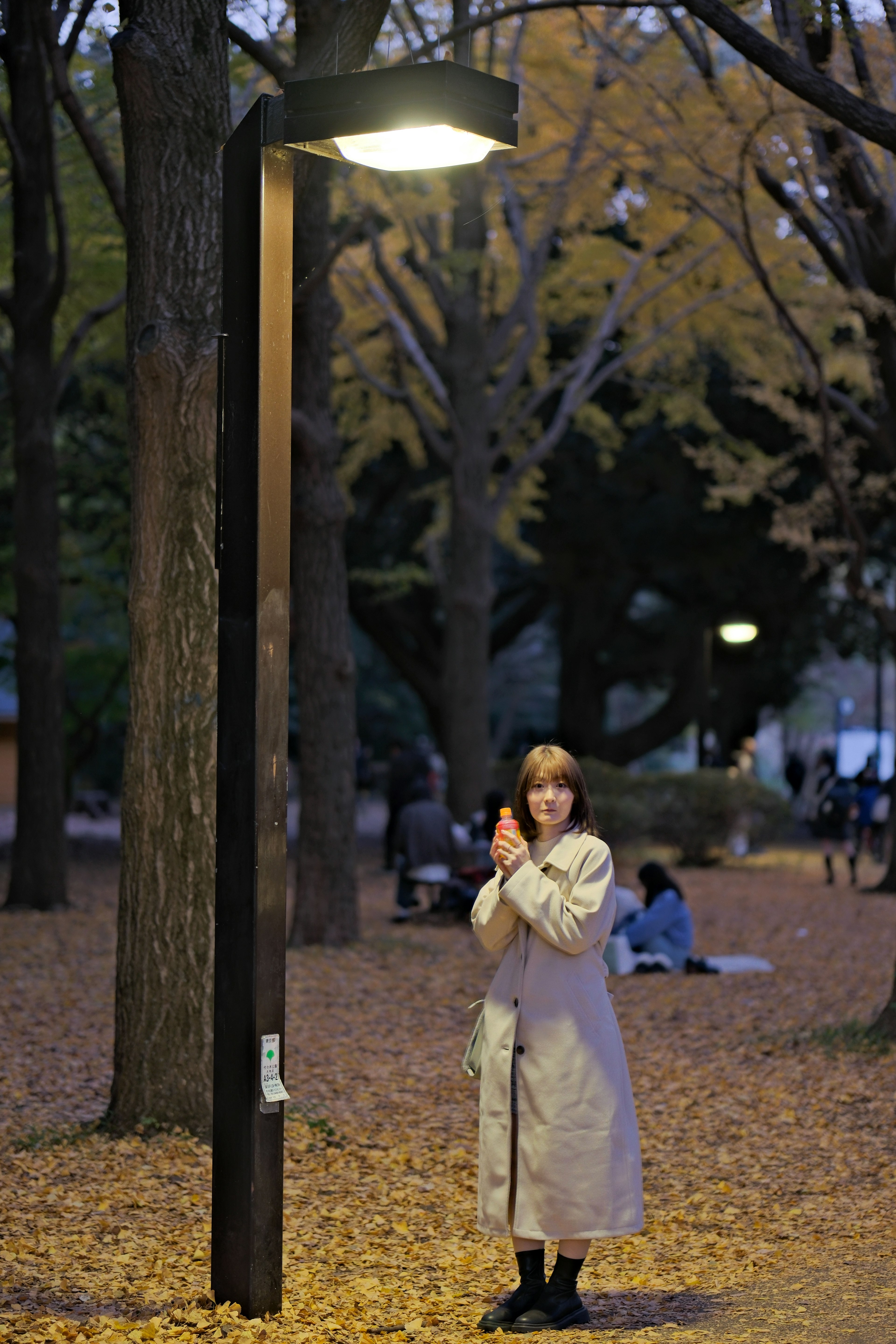 公園の街灯の下に立つ女性と秋の落ち葉