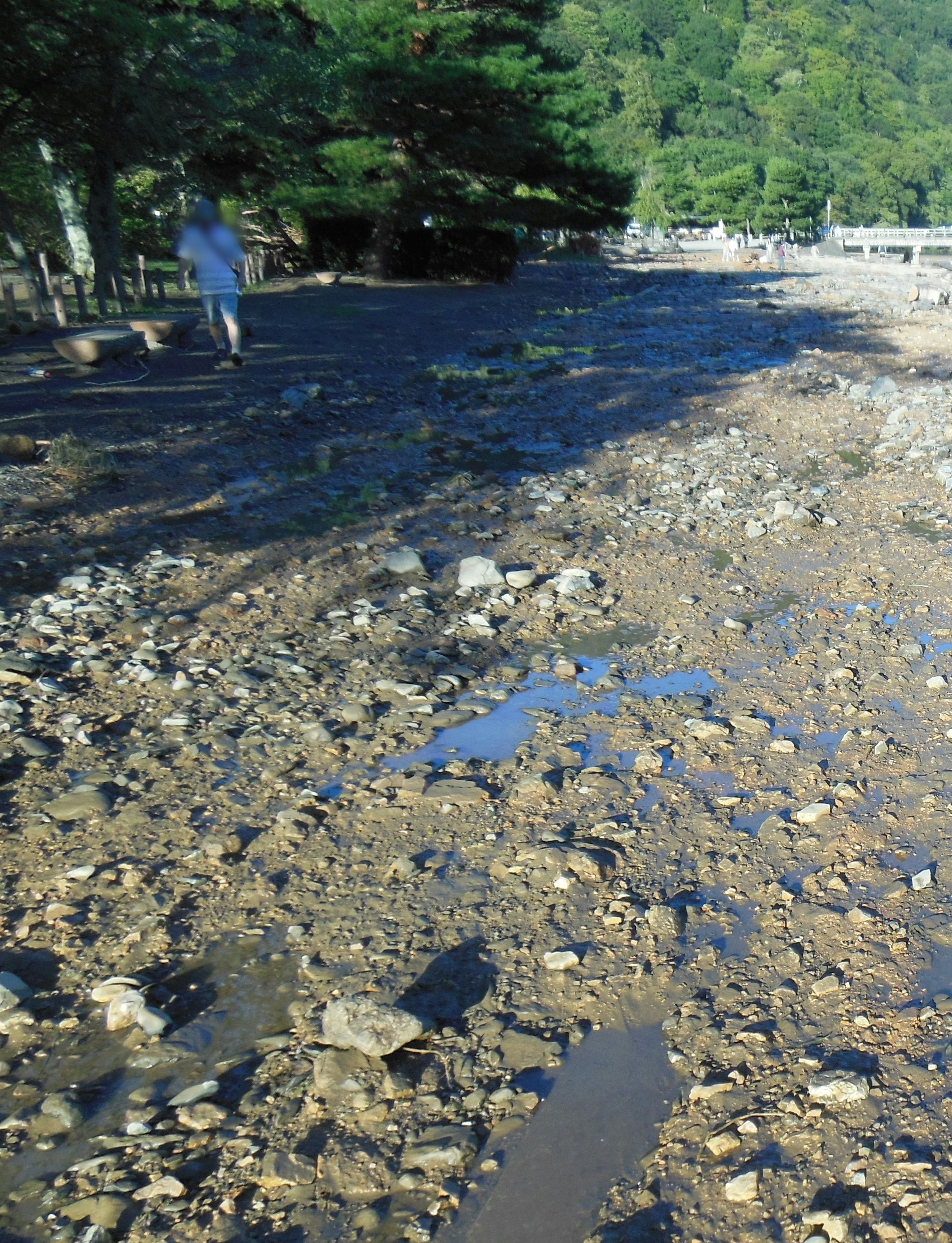 Scenic view of a riverbank with stones and puddles reflecting sunlight