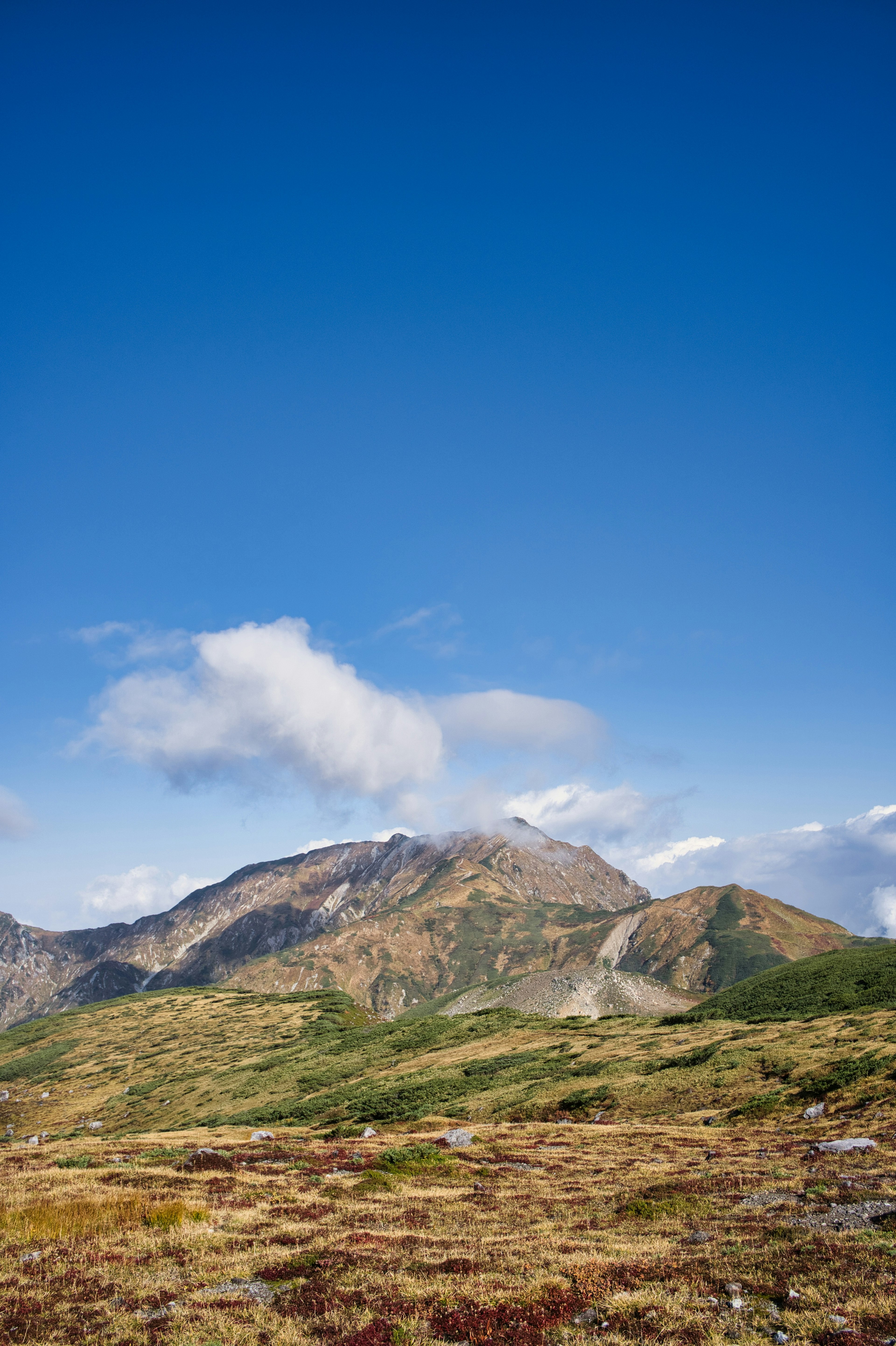 Paysage de montagne avec de l'herbe verte sous un ciel bleu clair