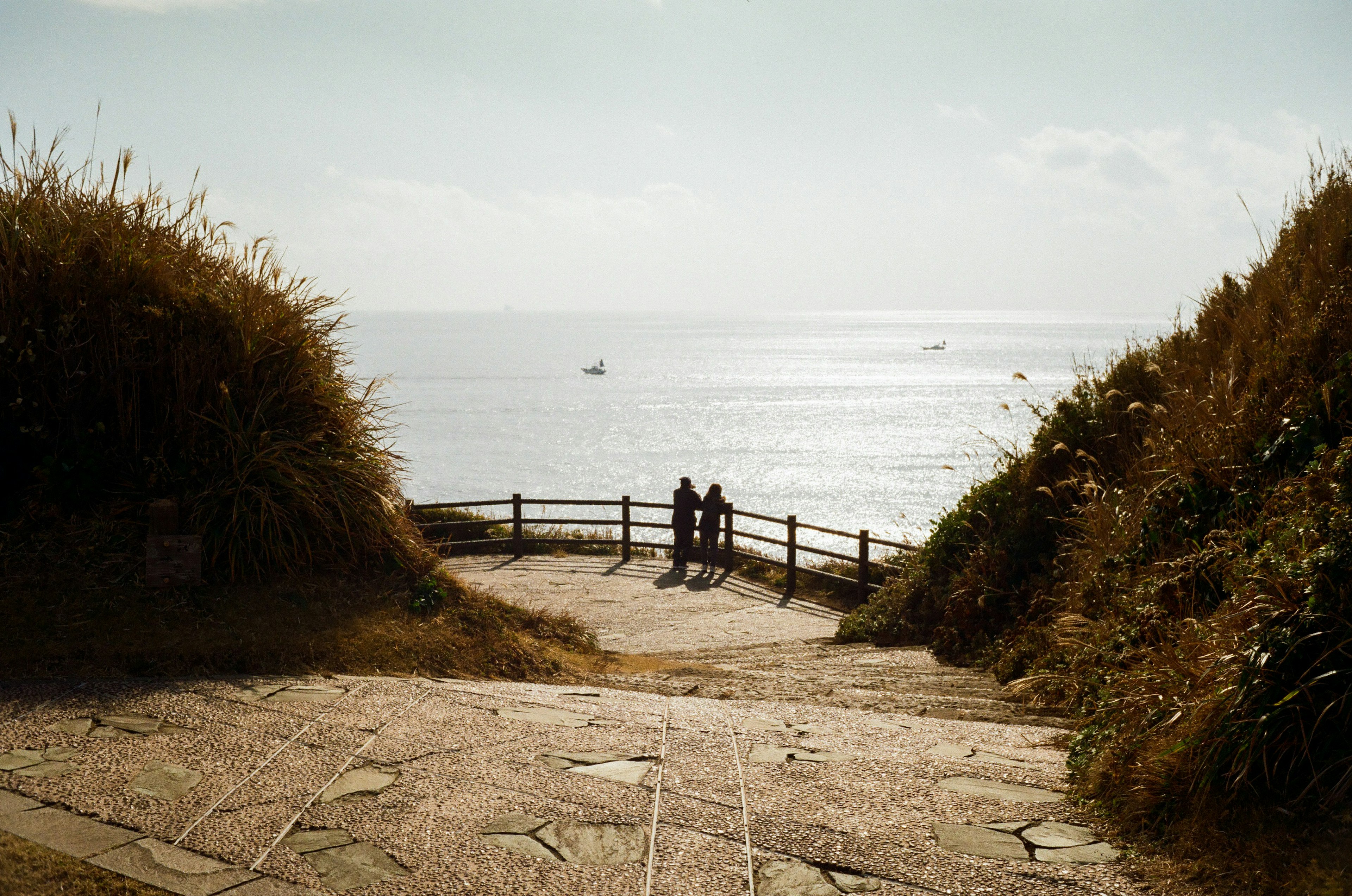 Silhouette of two people overlooking the sea with grassy surroundings