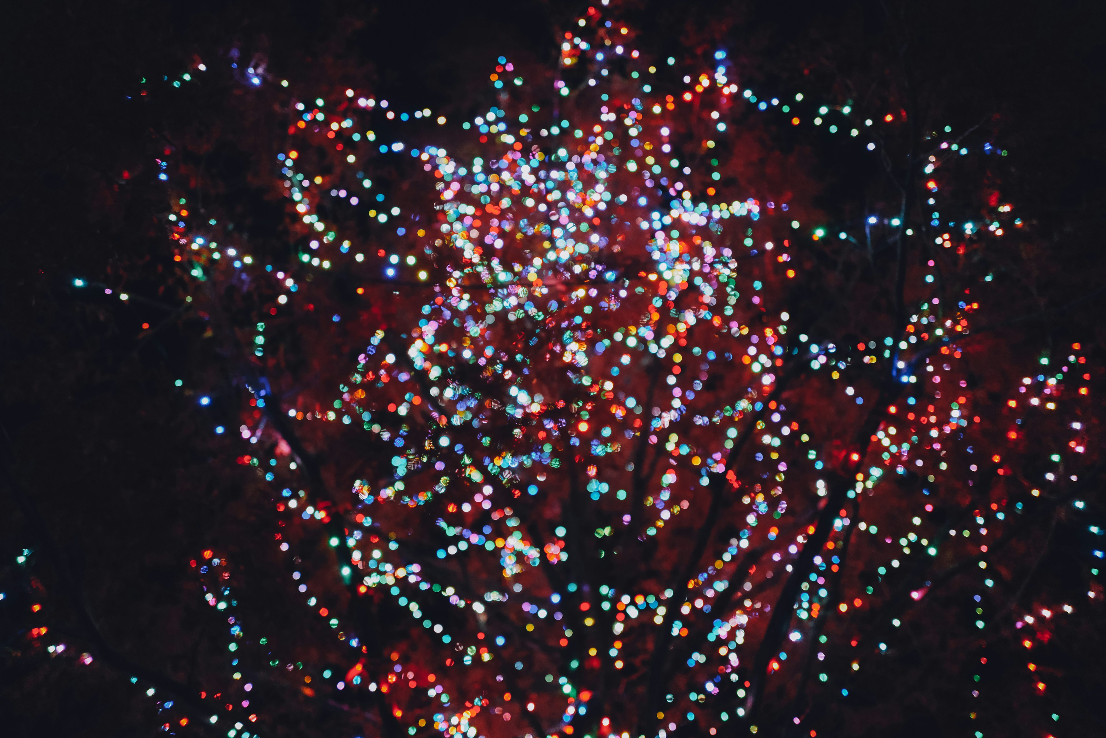 Colorful Christmas lights scattered against a dark background