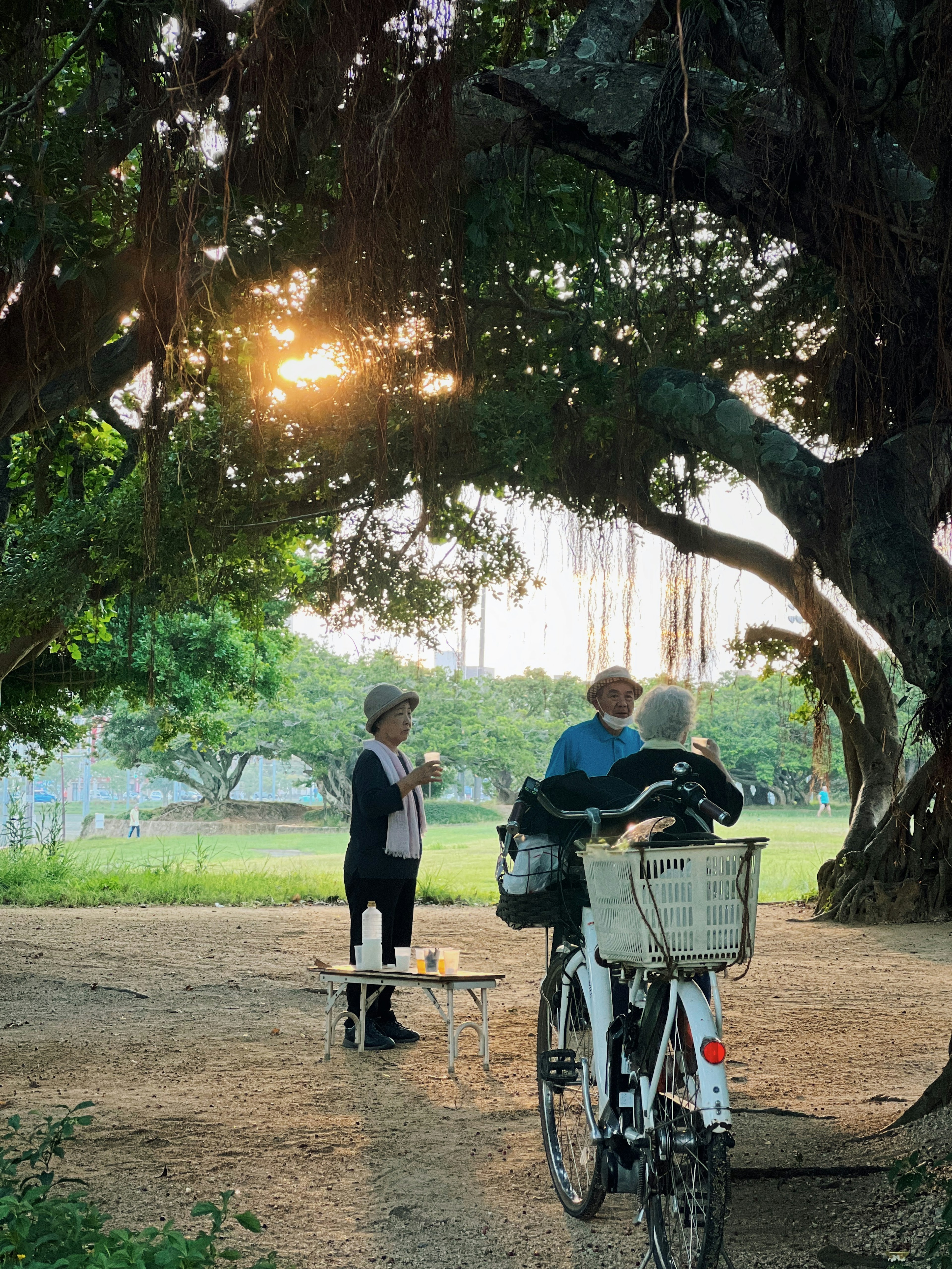 Two people near a bicycle in the shade of a tree with another person in the background