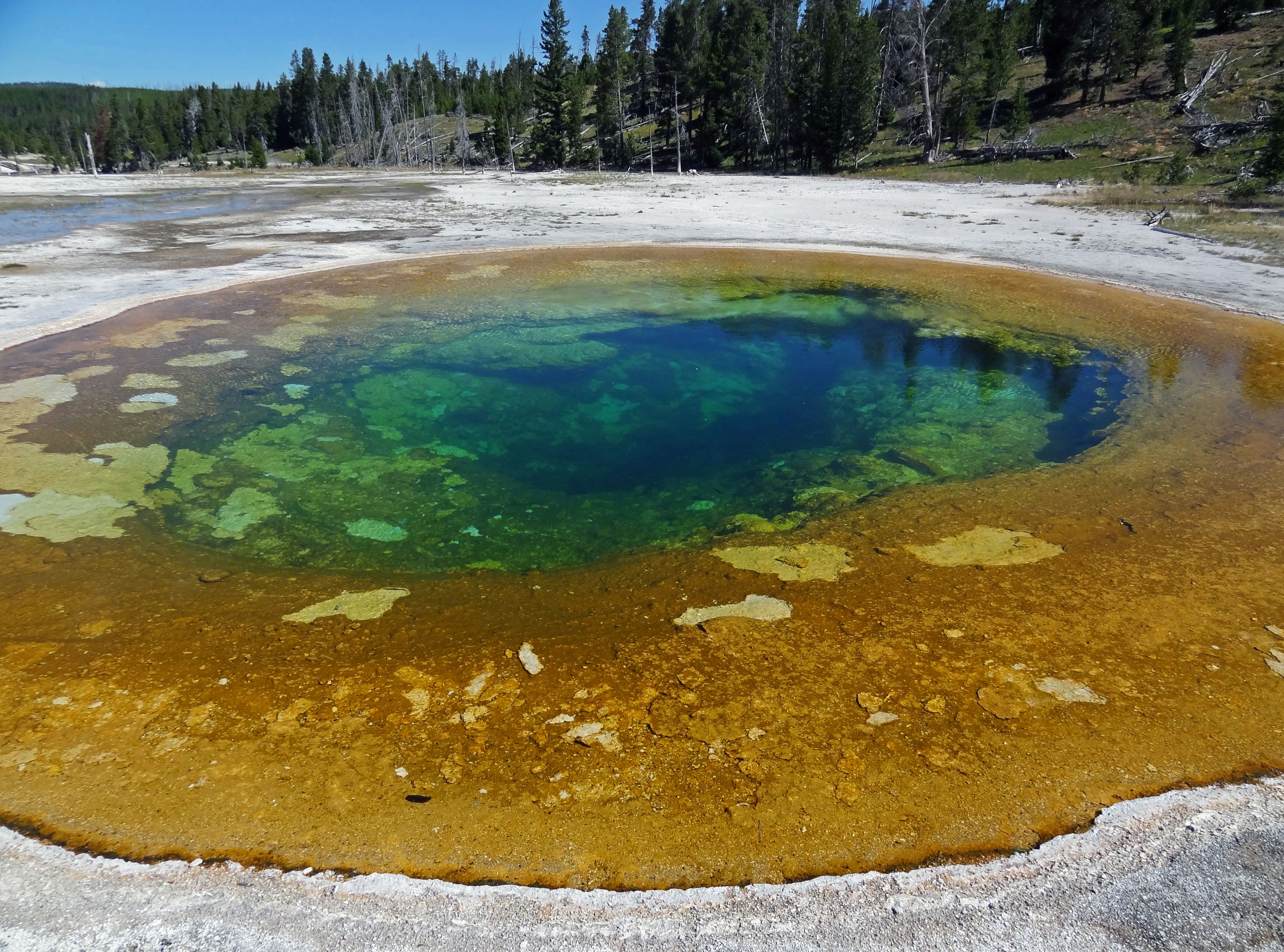 Suối nước nóng sống động ở Vườn Quốc gia Yellowstone với nước nhiều màu sắc và cảnh quan xung quanh