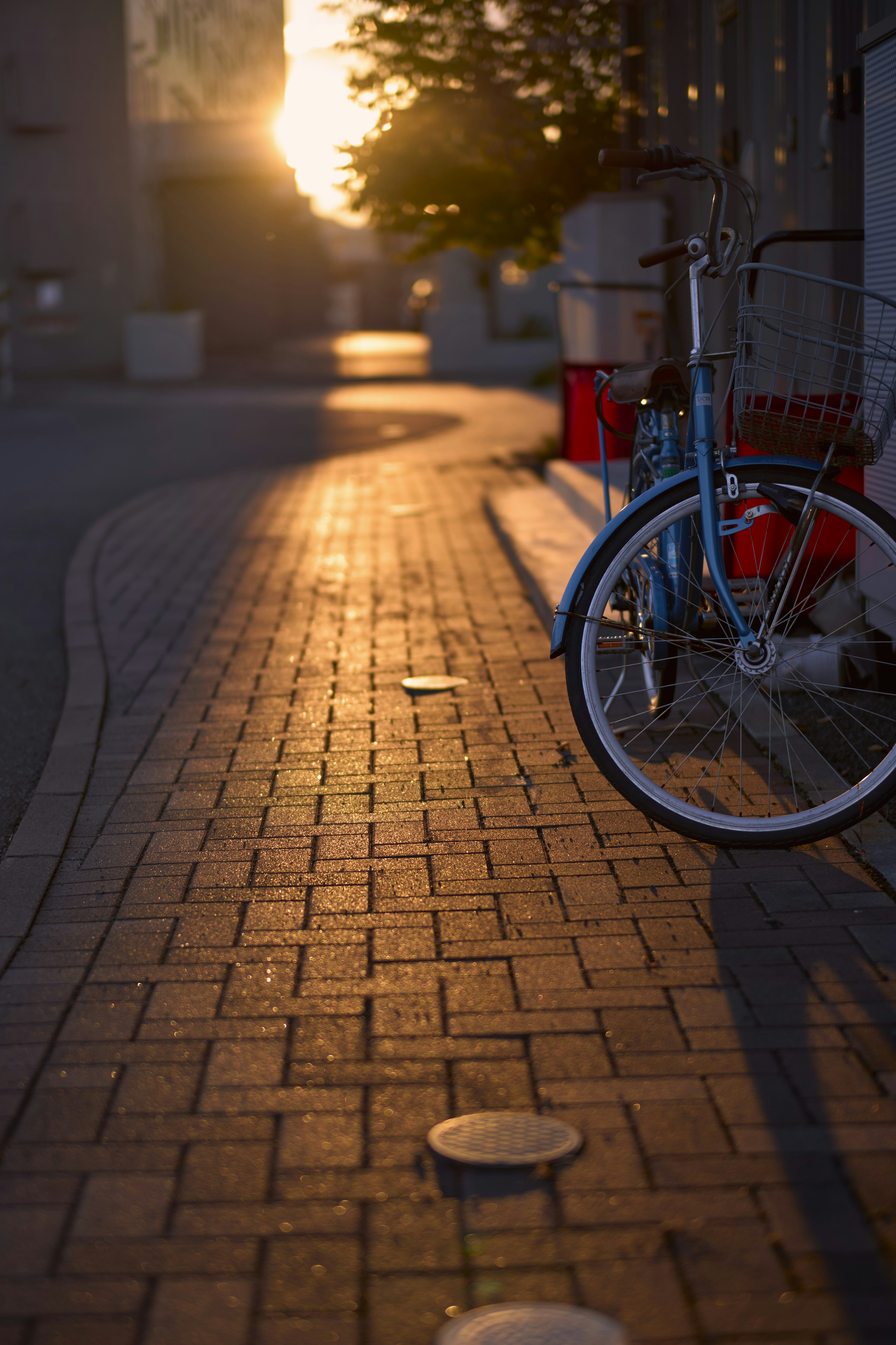 Blaue Fahrrad und rote Stühle auf einem sonnenbeschienenen Weg bei Sonnenuntergang