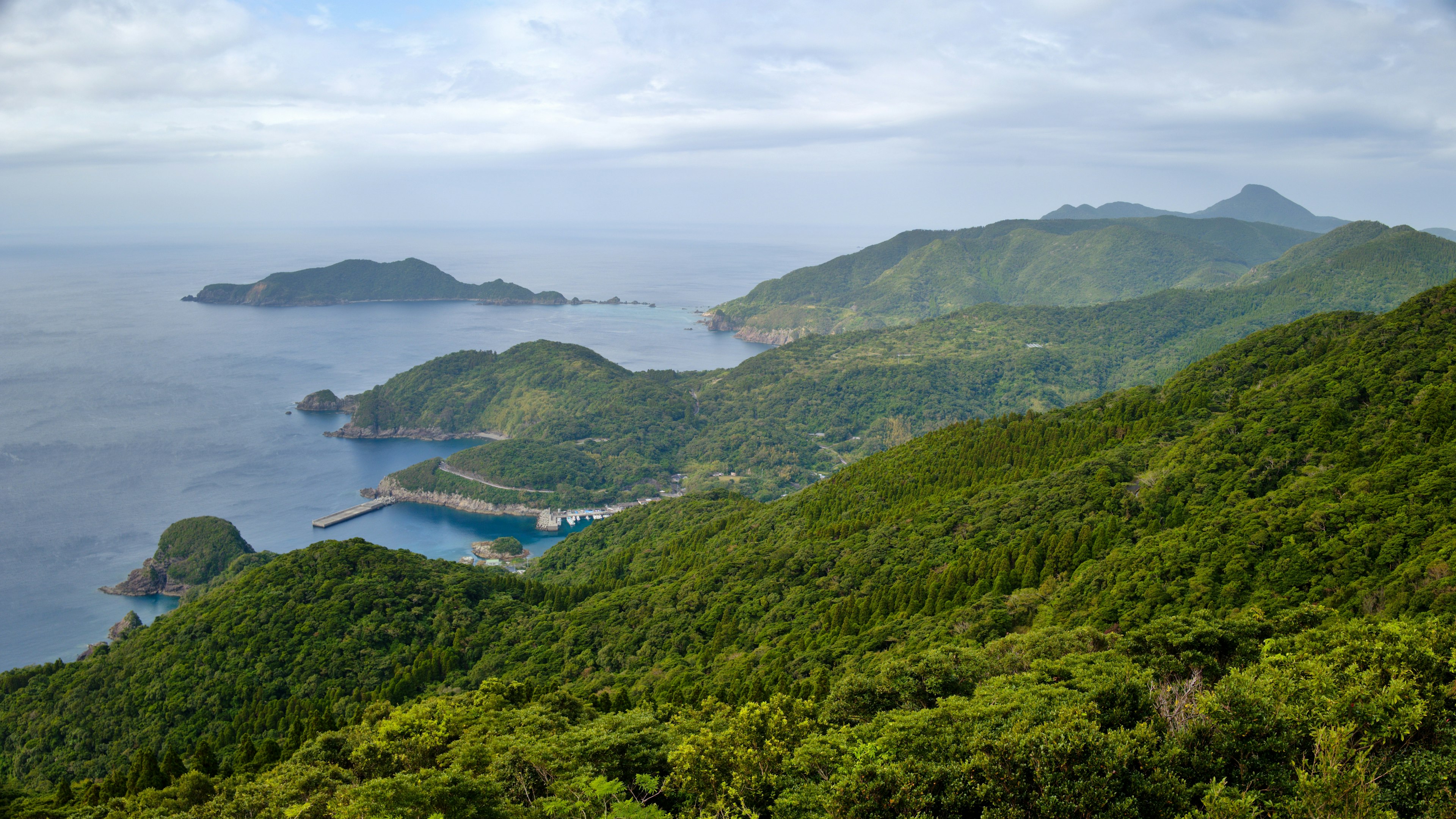 Vue panoramique de montagnes verdoyantes et d'un océan bleu