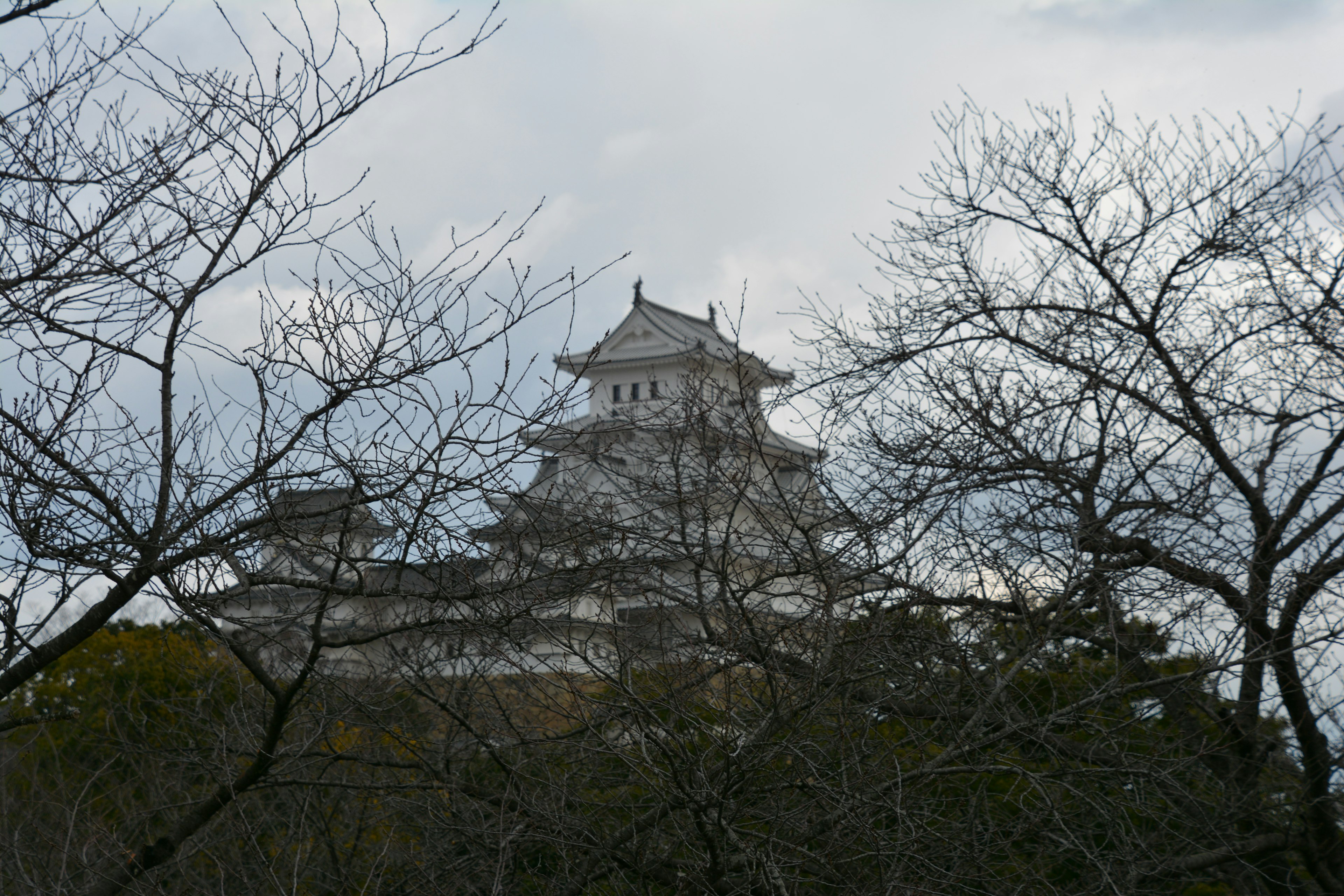 Vue pittoresque du château de Himeji obscurci par des arbres nus