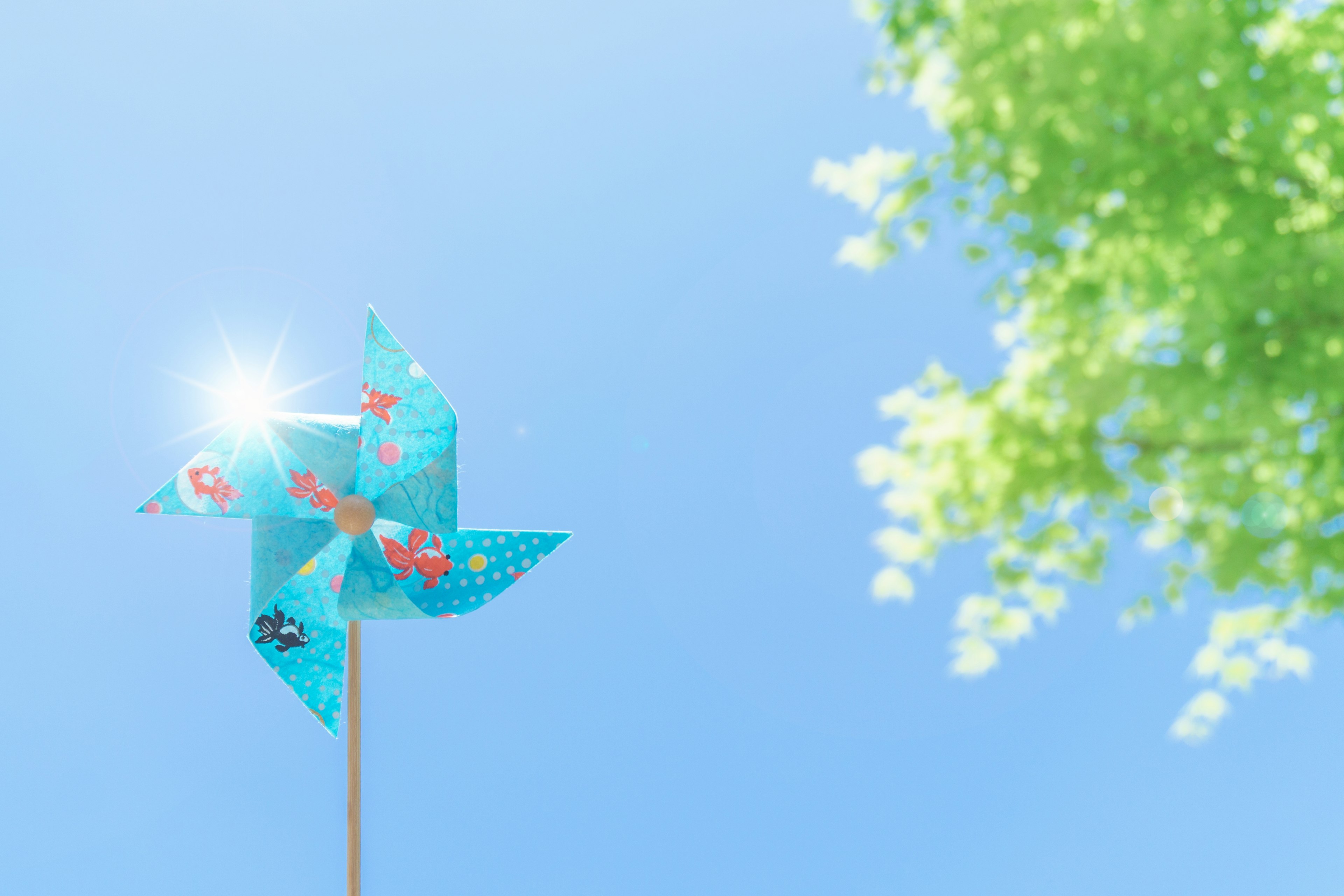 Colorful pinwheel against a blue sky with green leaves