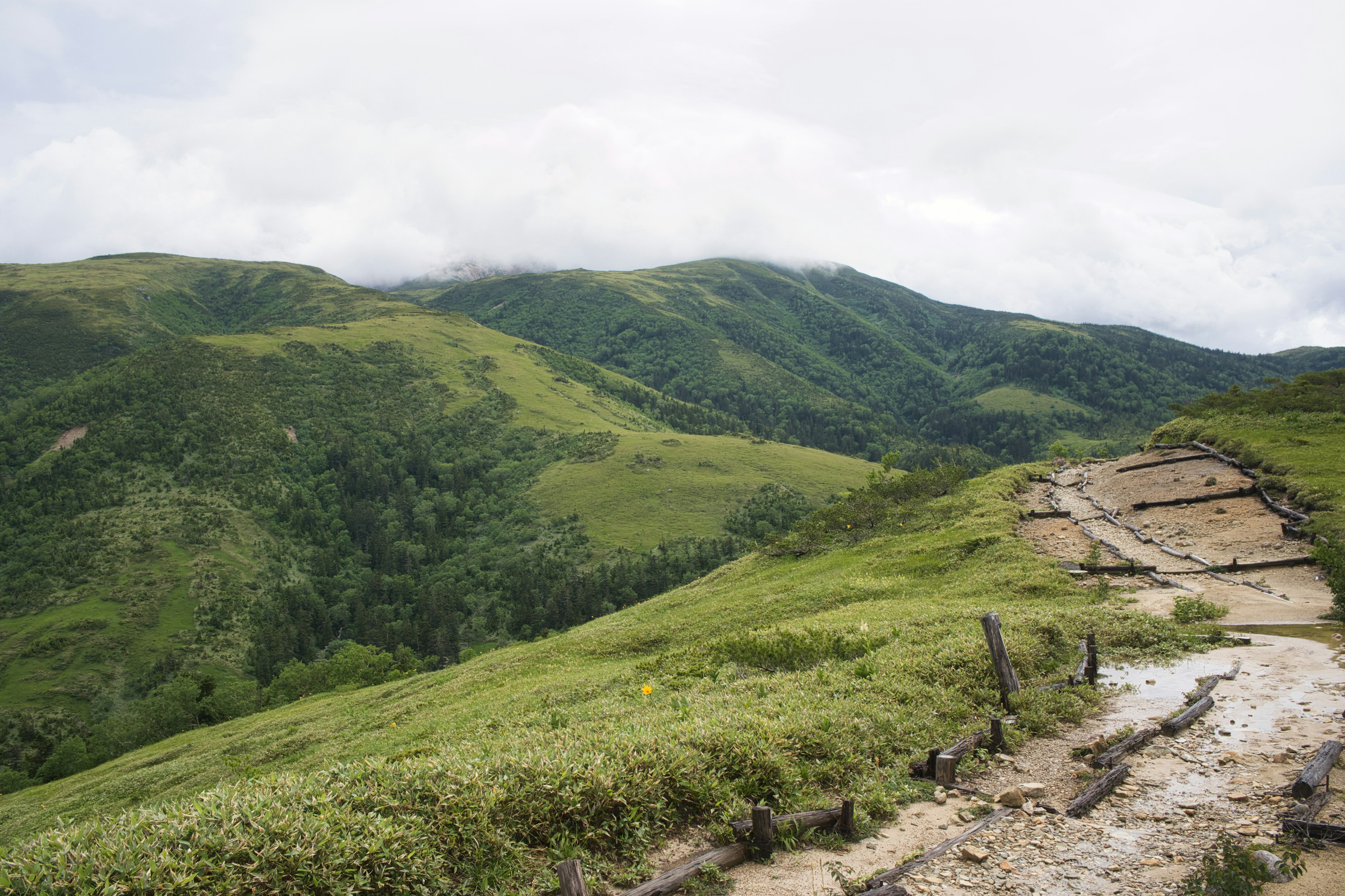 Vue panoramique de collines verdoyantes et d'un sentier sinueux dans les montagnes