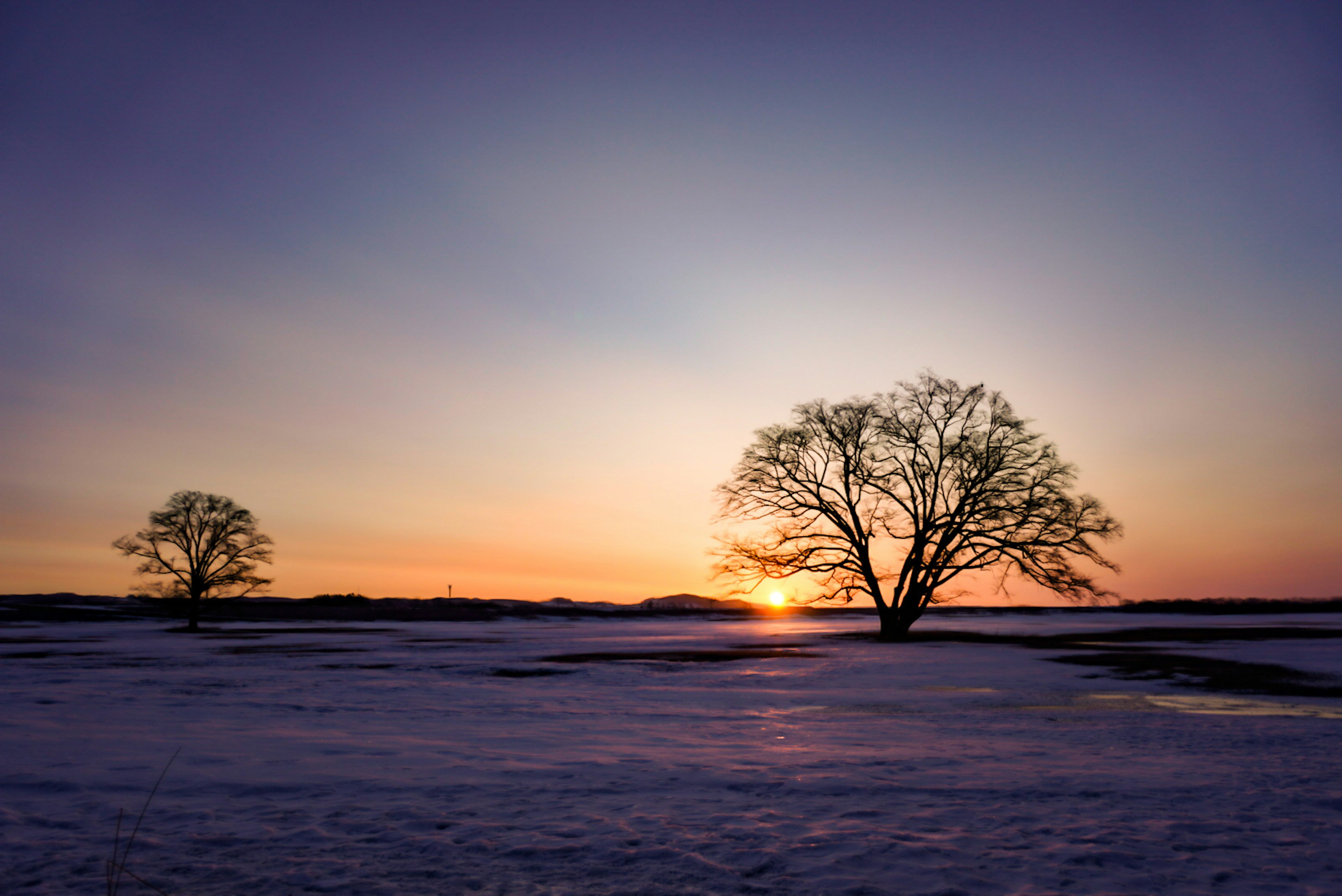 Coucher de soleil sur un paysage enneigé avec deux arbres