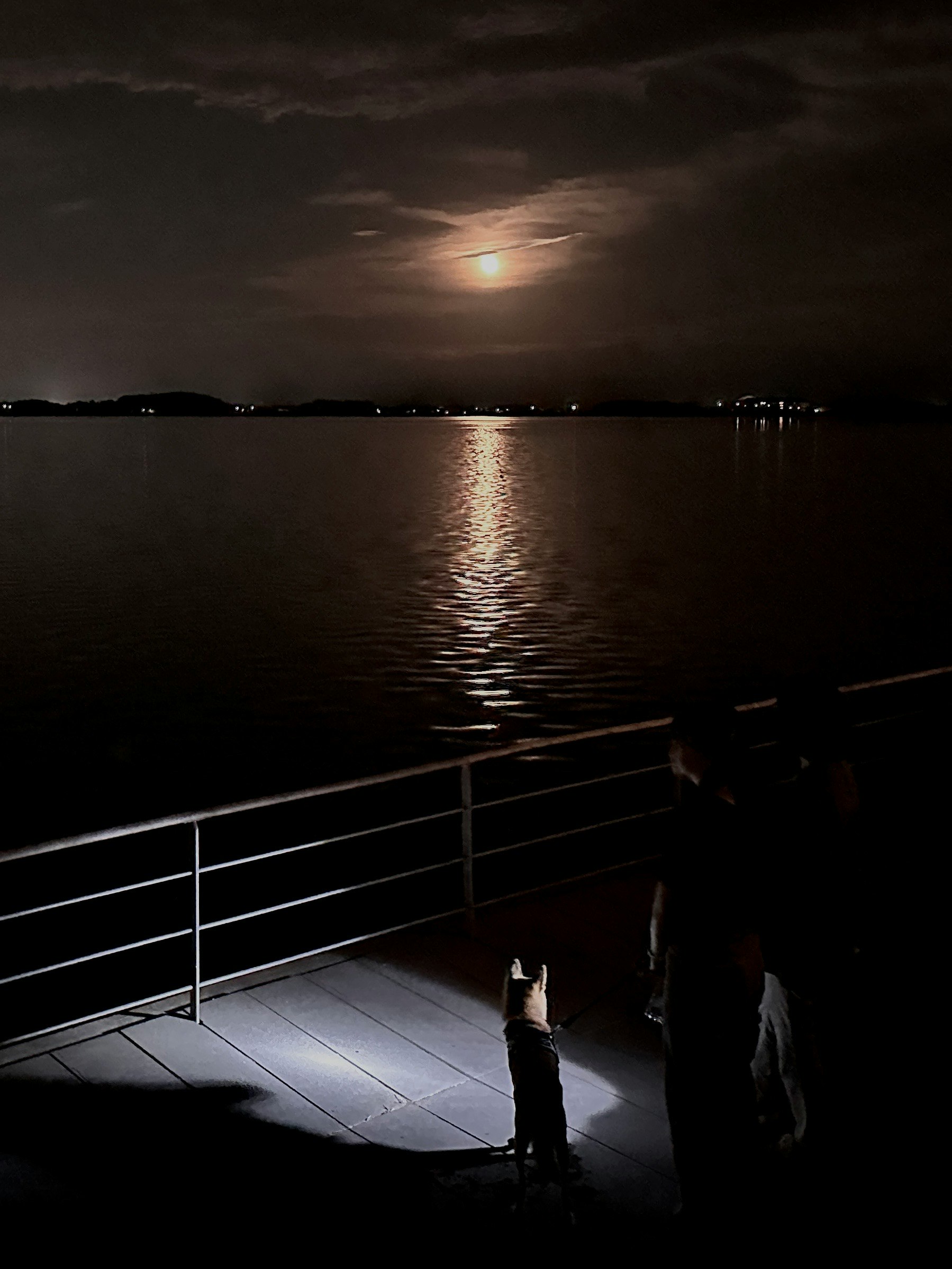 Nighttime scene of a waterfront with moonlight reflecting on the water and silhouettes of people