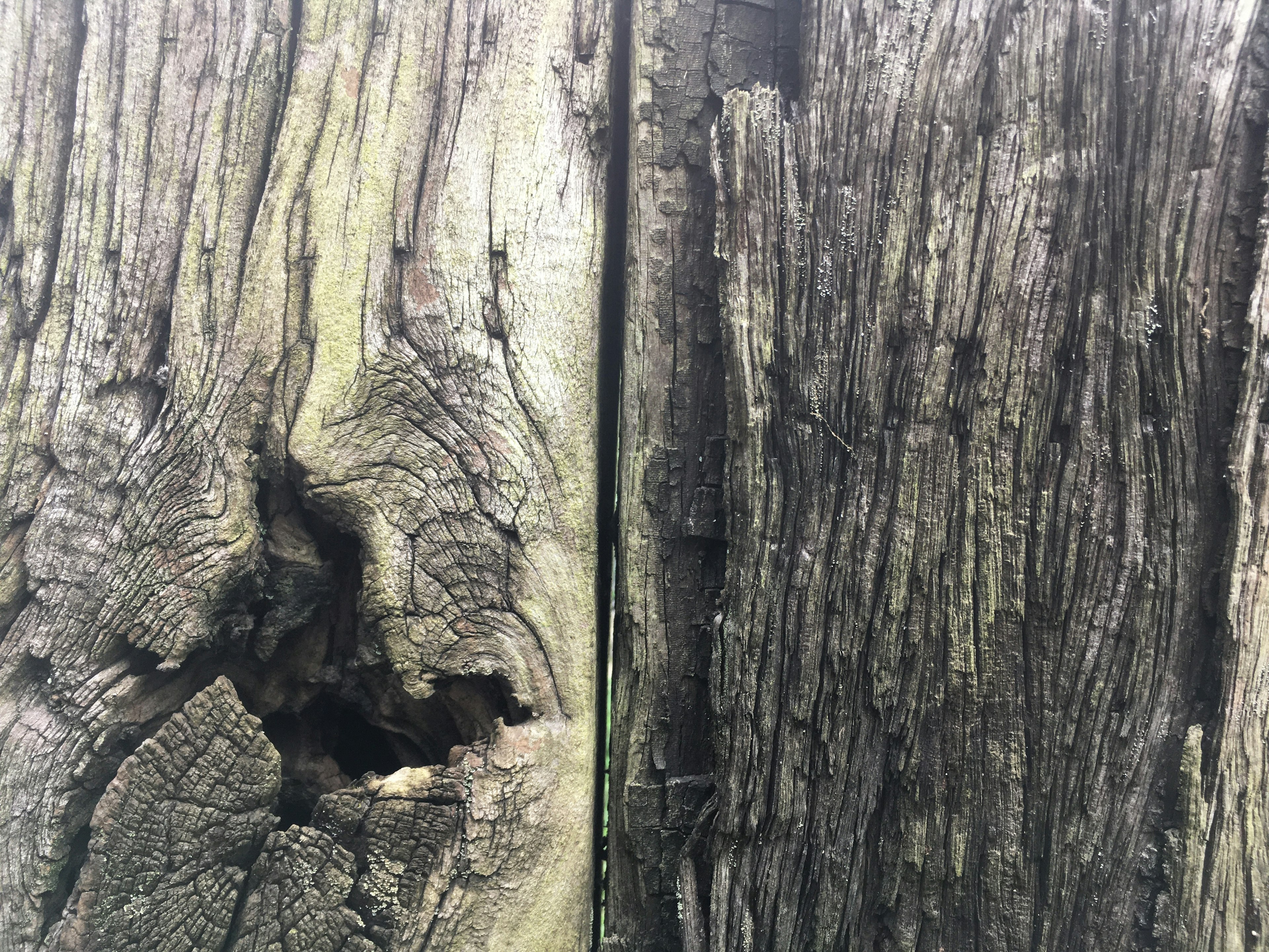 Close-up of two wooden planks with distinct textures and colors