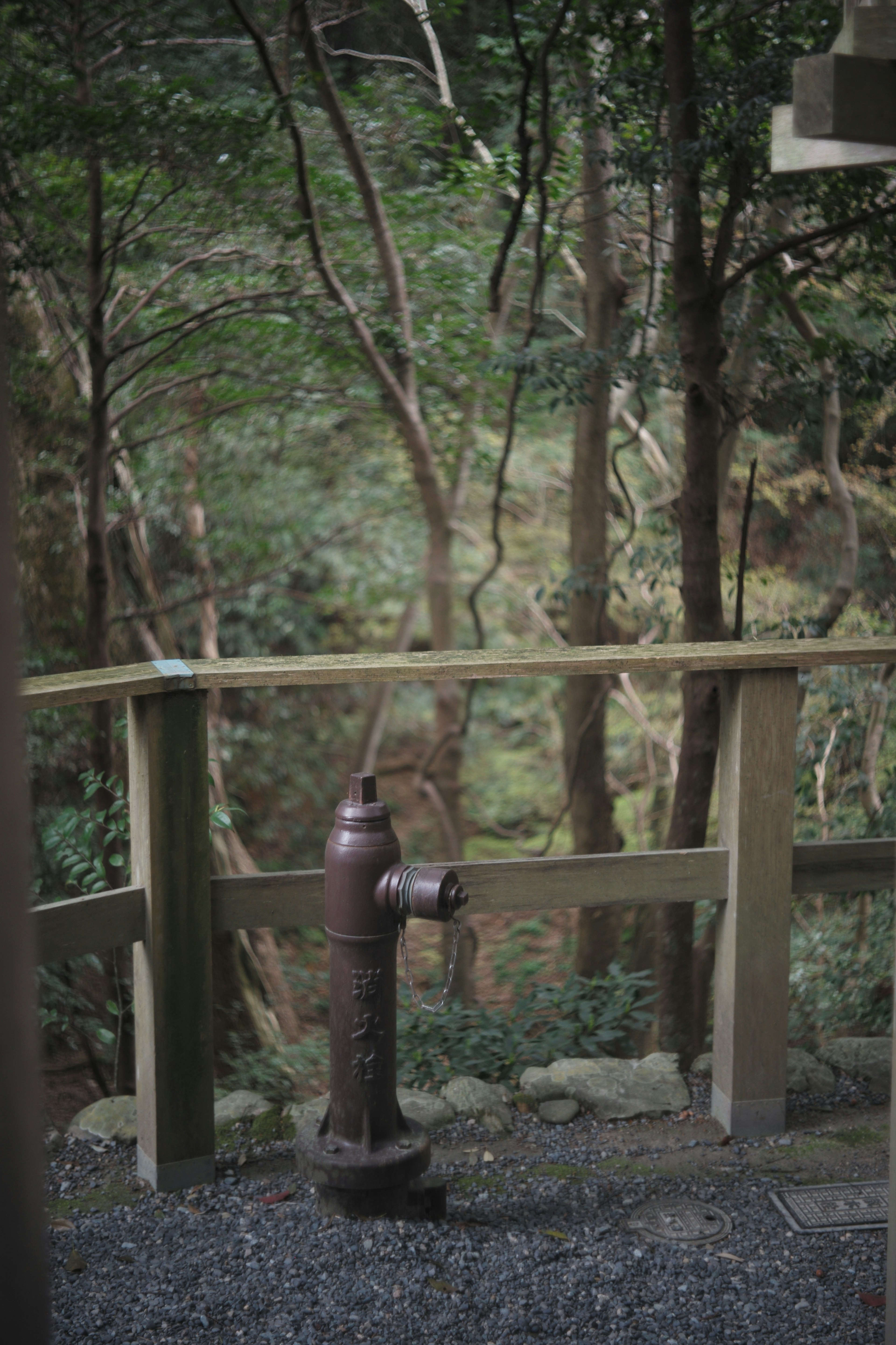 Un ancien hydrant à côté d'une clôture en bois dans une forêt