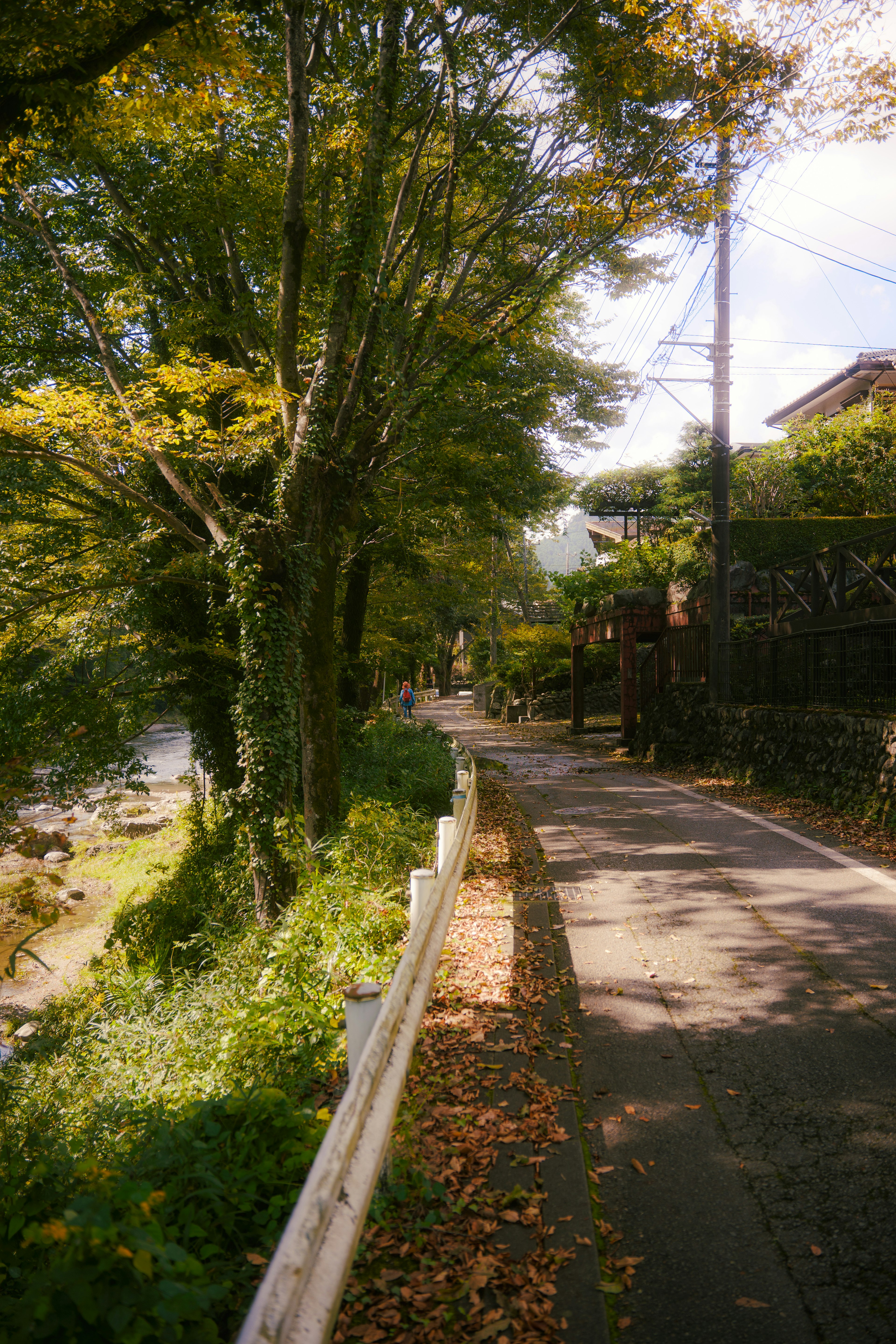 緑の木々に囲まれた静かな小道とその脇に流れる川