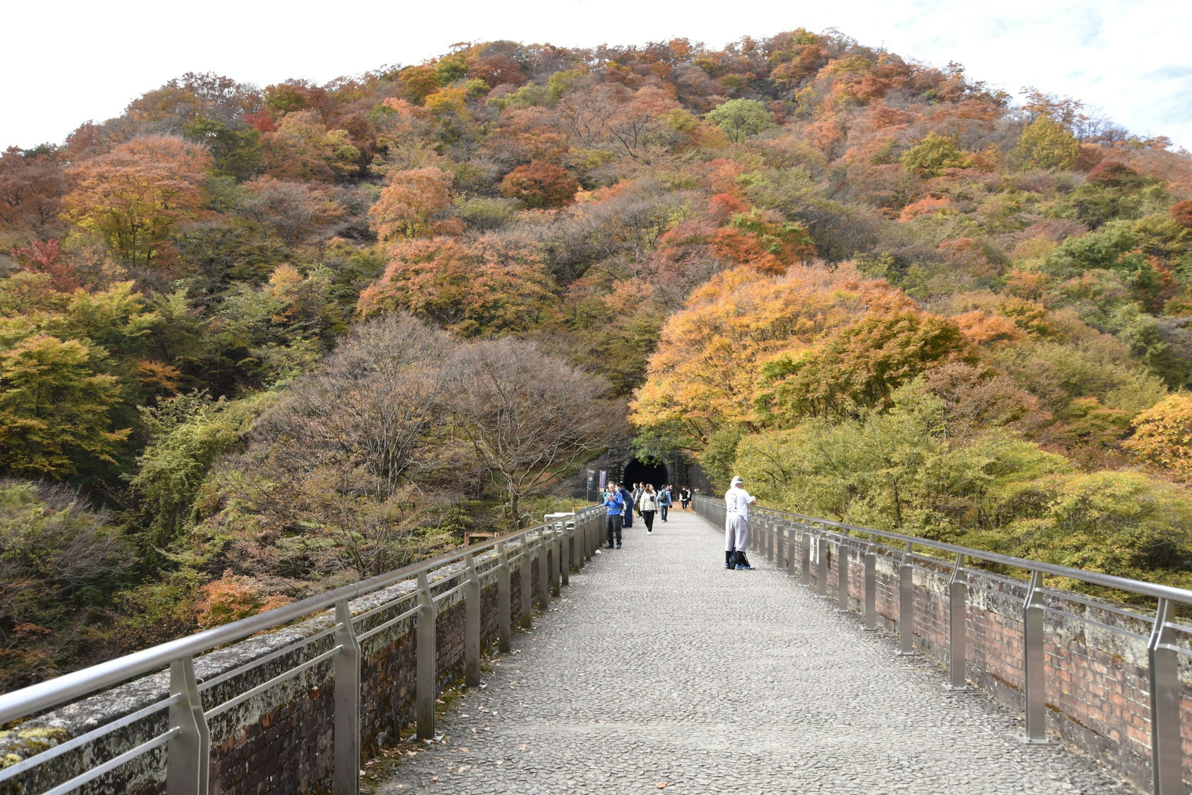 紅葉の山を背景にした歩道を歩く人々