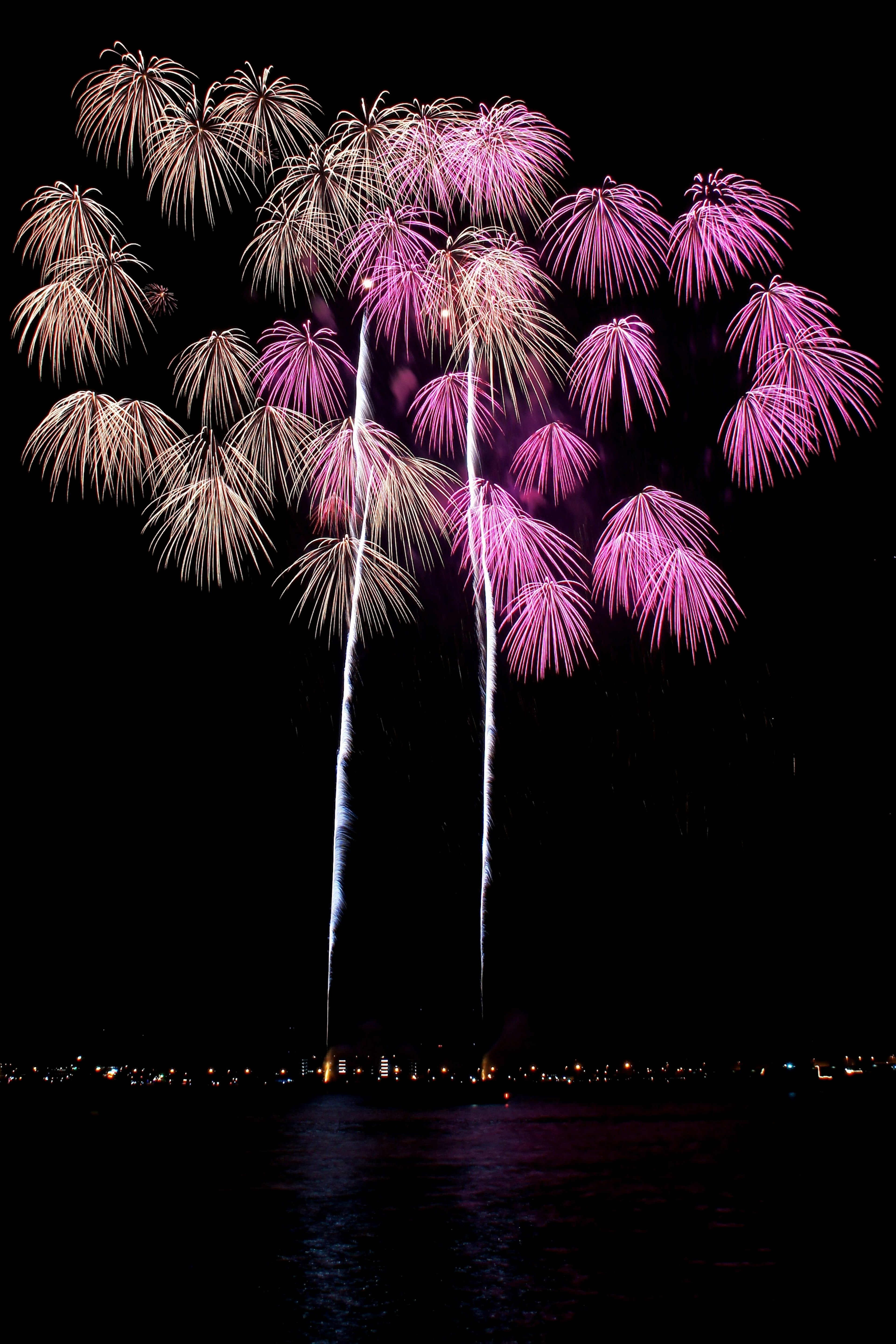 Spectacle de feux d'artifice dans le ciel nocturne avec des couleurs roses et blanches