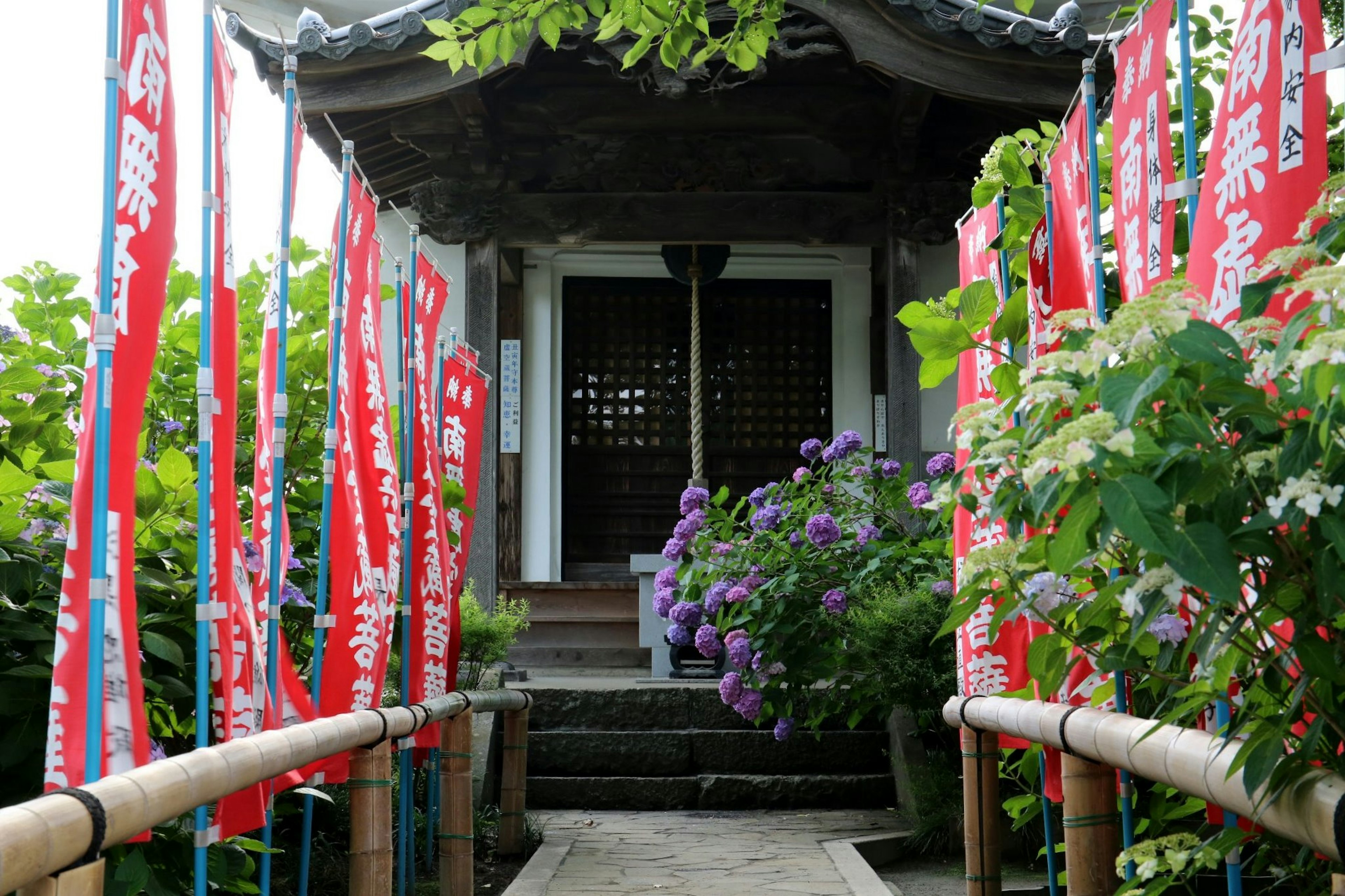 通往传统日本建筑的小路，周围有红色横幅和紫色花朵