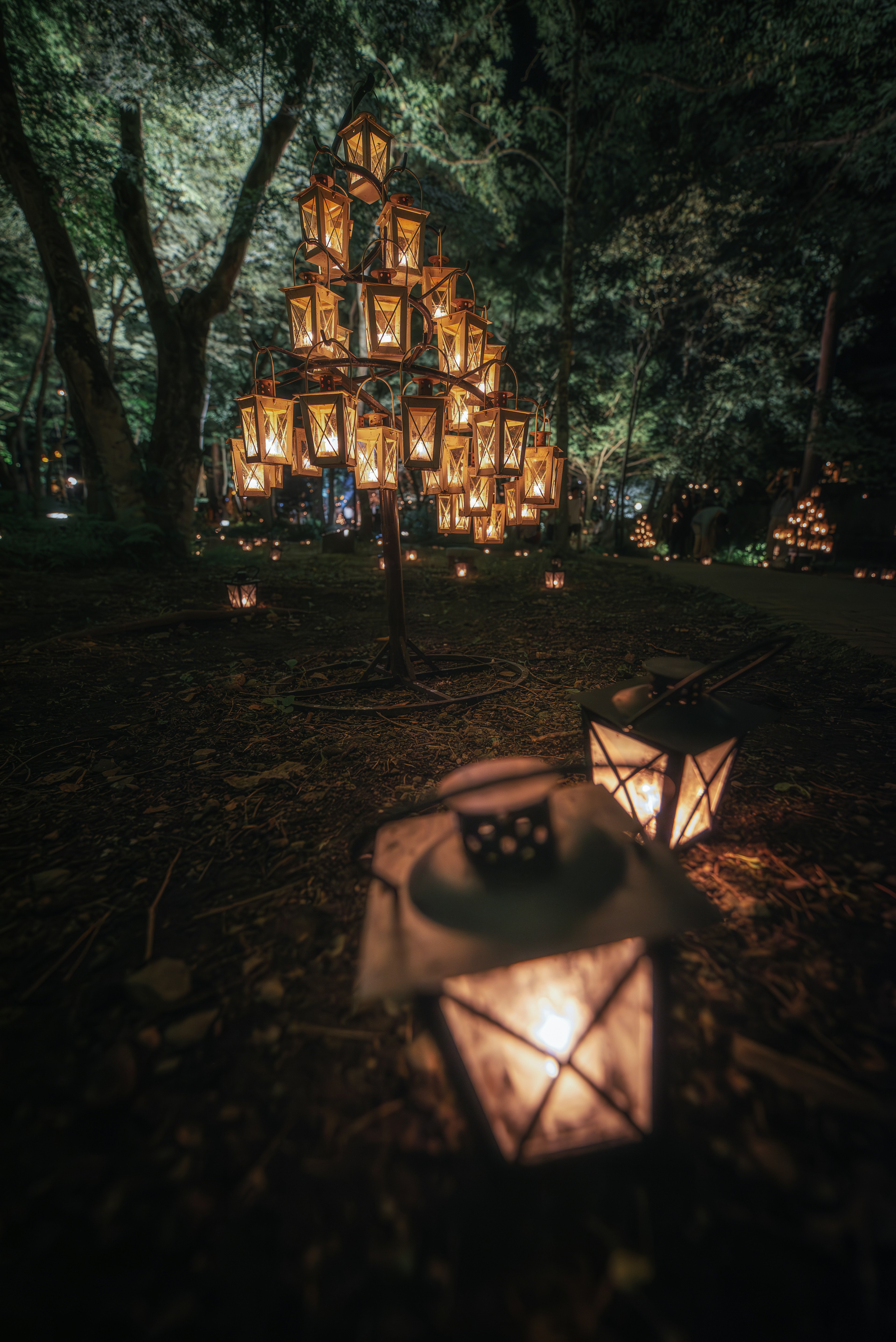 Une tour magique de lanternes illuminant une forêt sombre