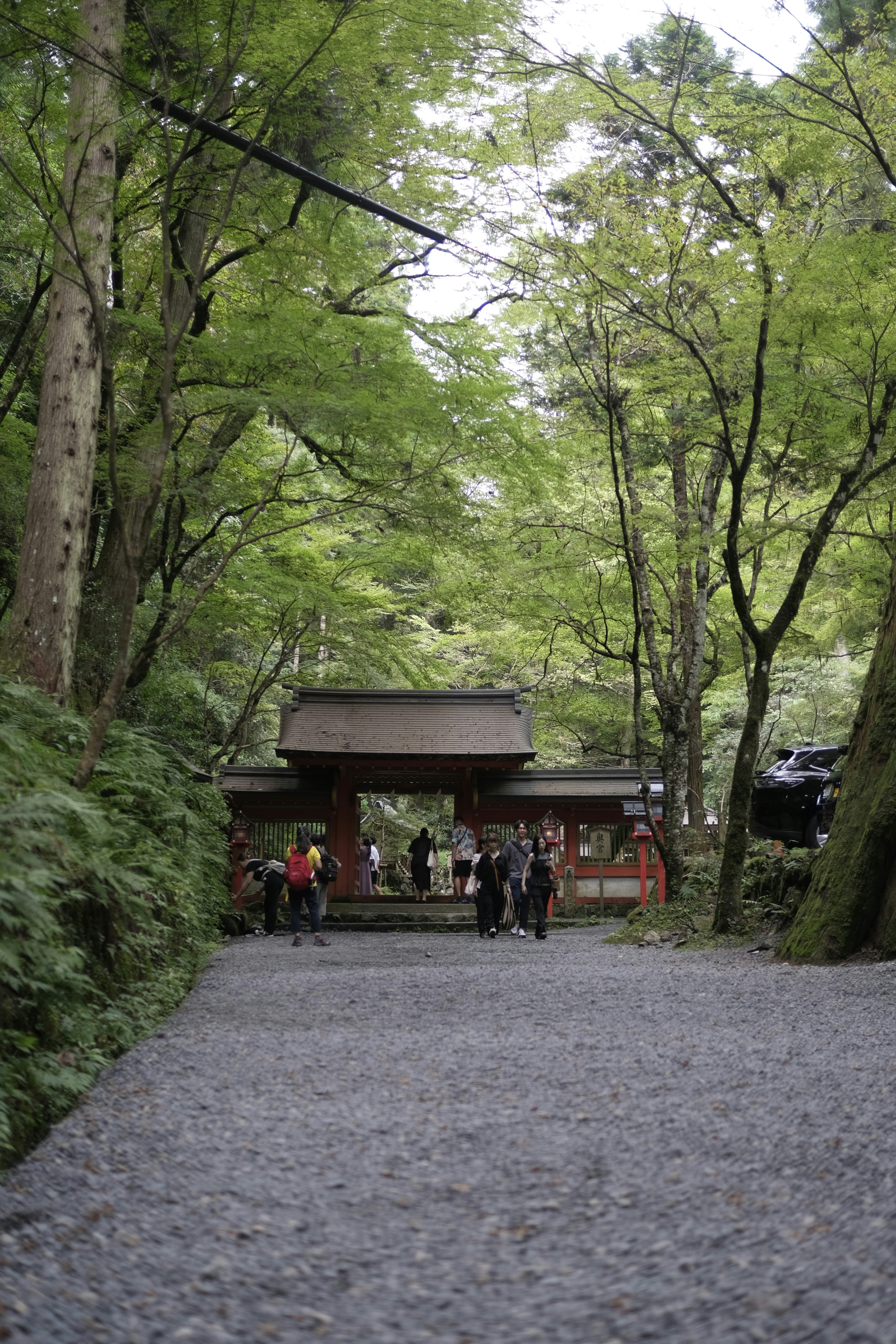 Allée bordée d'arbres verts menant à une porte traditionnelle