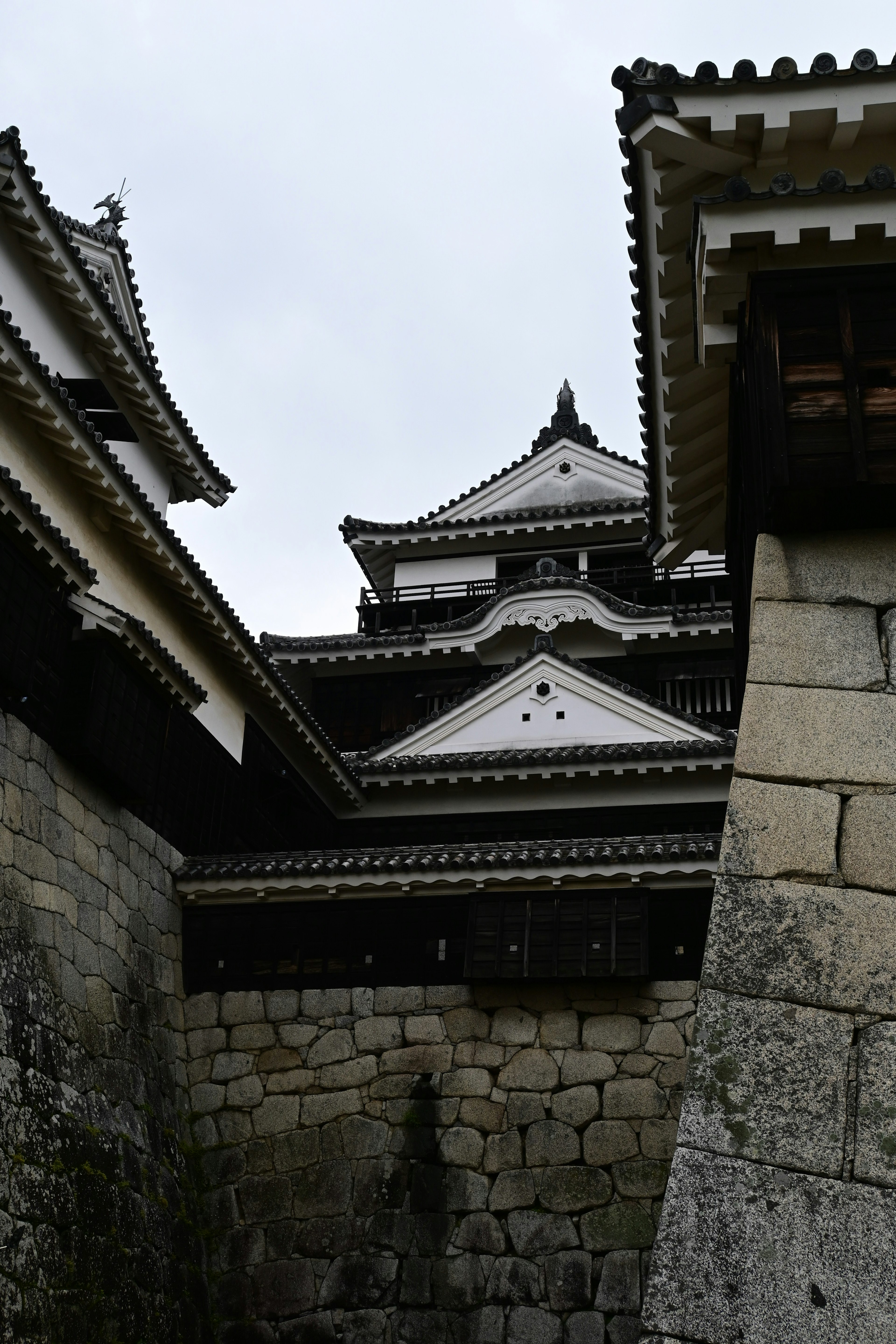 城の屋根と石壁が見える風景