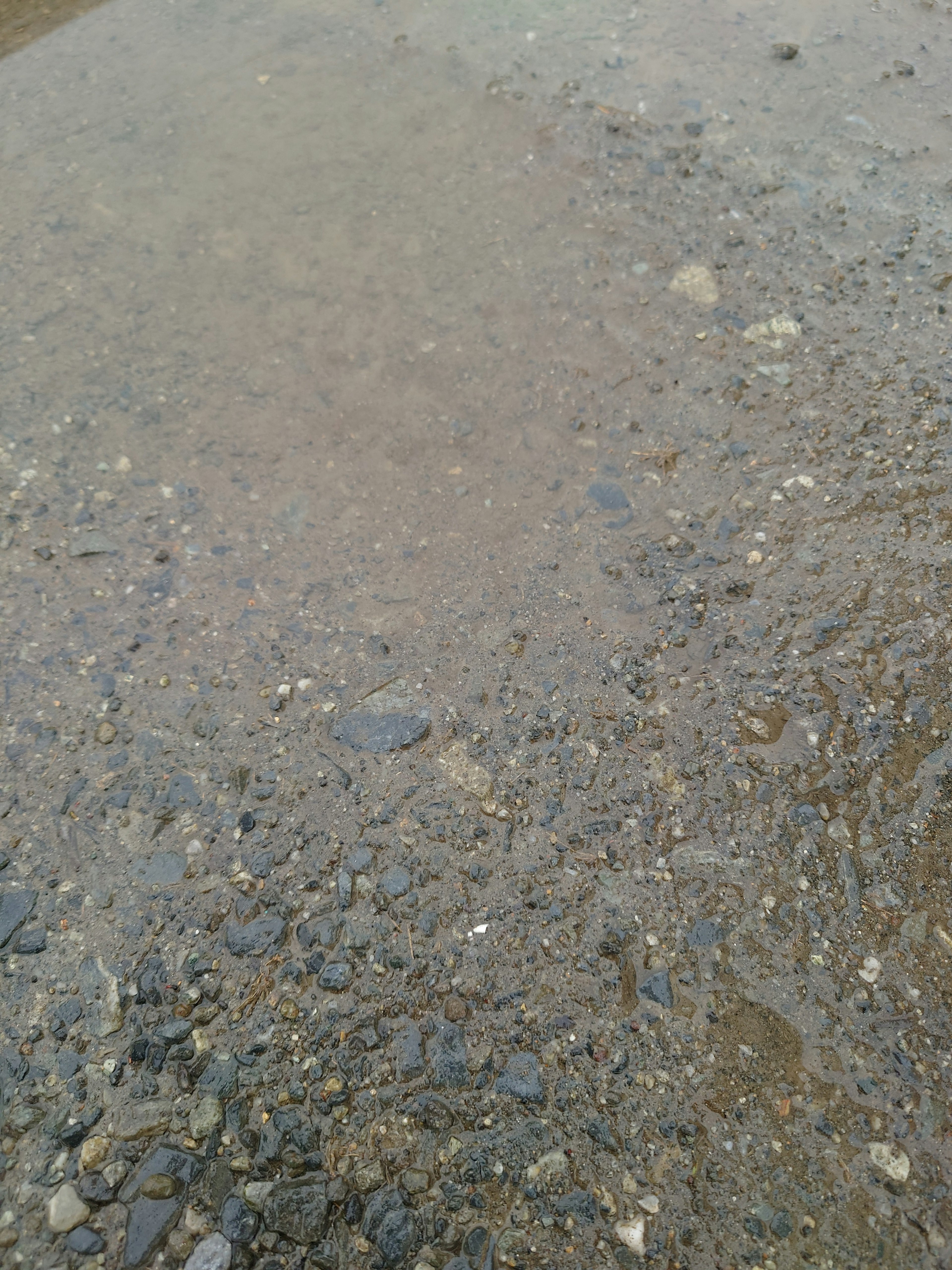 Surface of a puddle reflecting stones and gravel