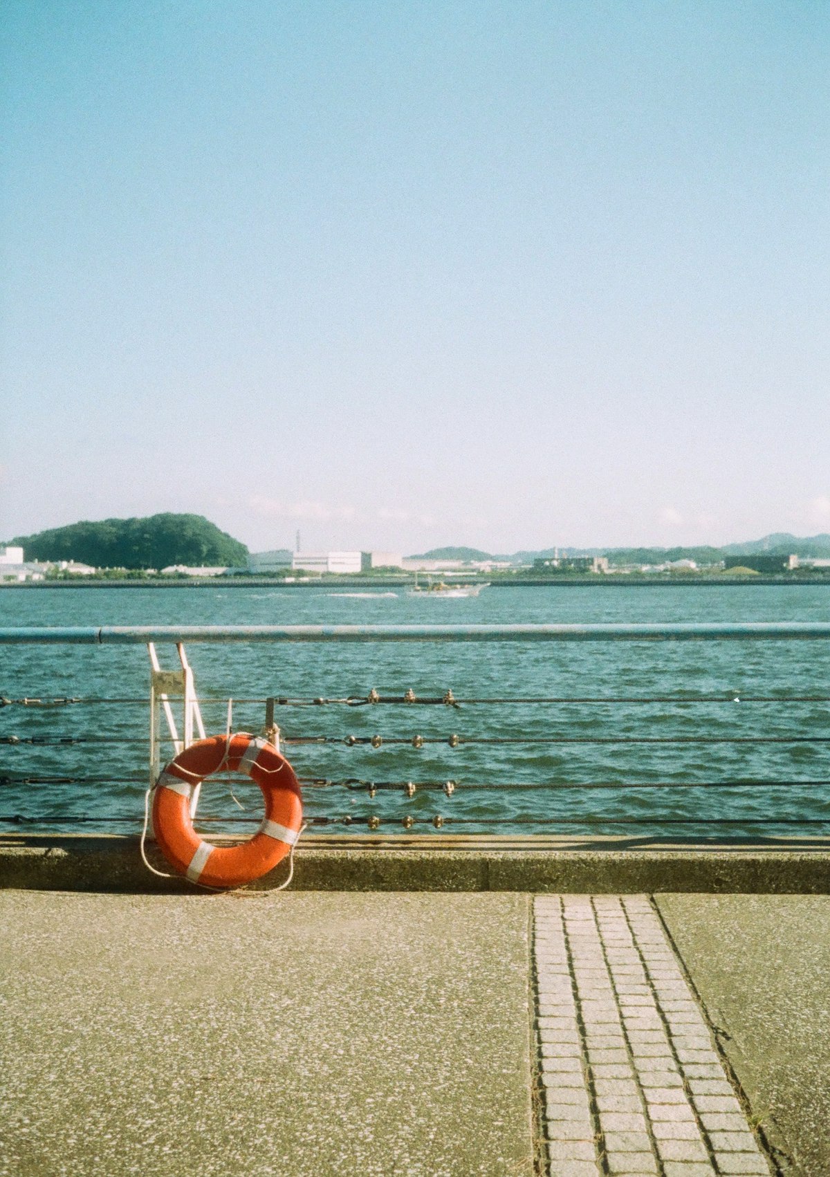 私の人生、海って近くない 親戚も全員山の民 あんまり泳ぐもんでもない 遡っても山の民 旧姓は珍しい苗字な私 その苗字はね、 同じ名前の海の町を
