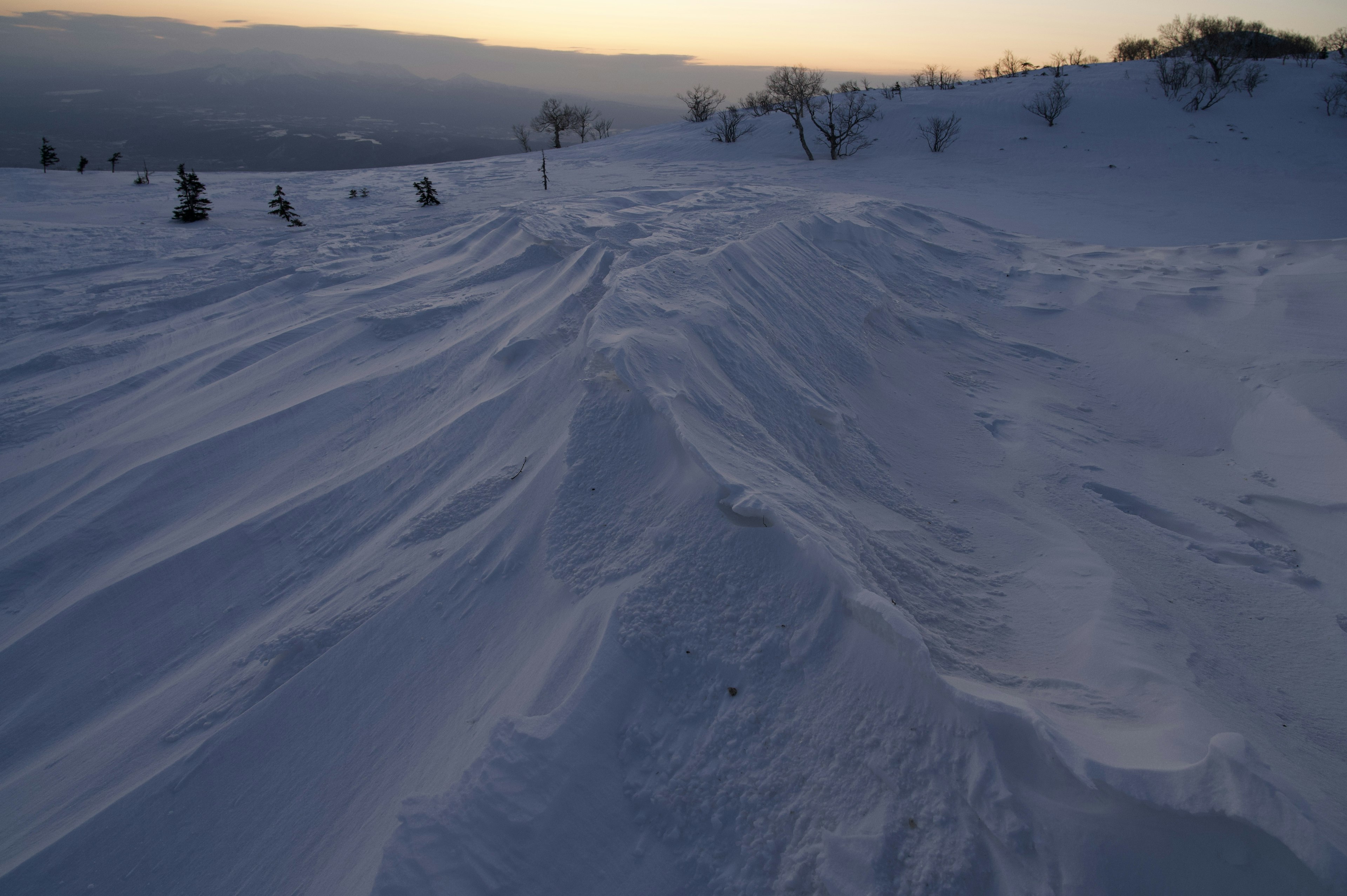 雪に覆われた風景と柔らかな起伏のある雪の丘