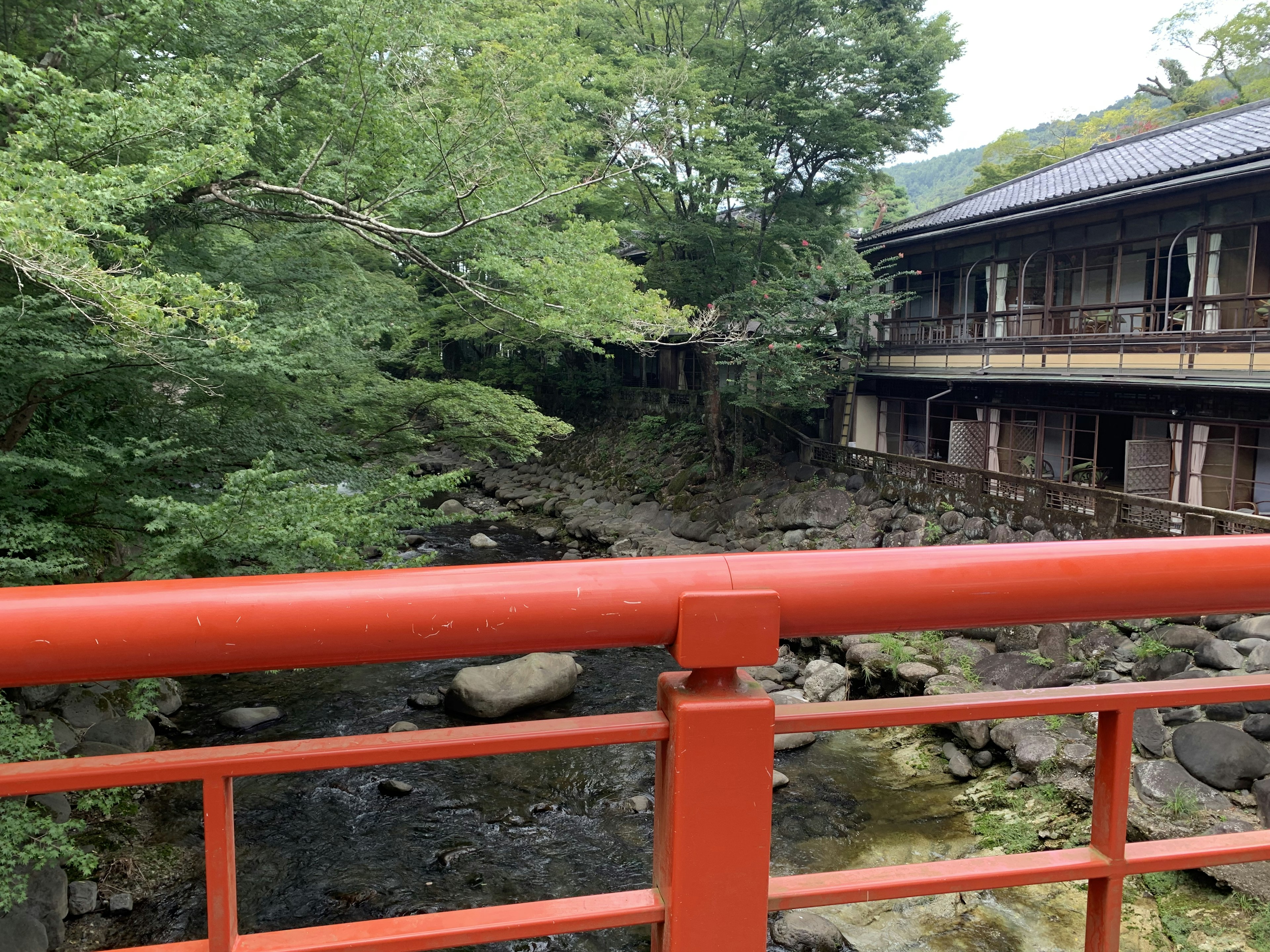 赤い橋と緑豊かな木々が見える川の風景