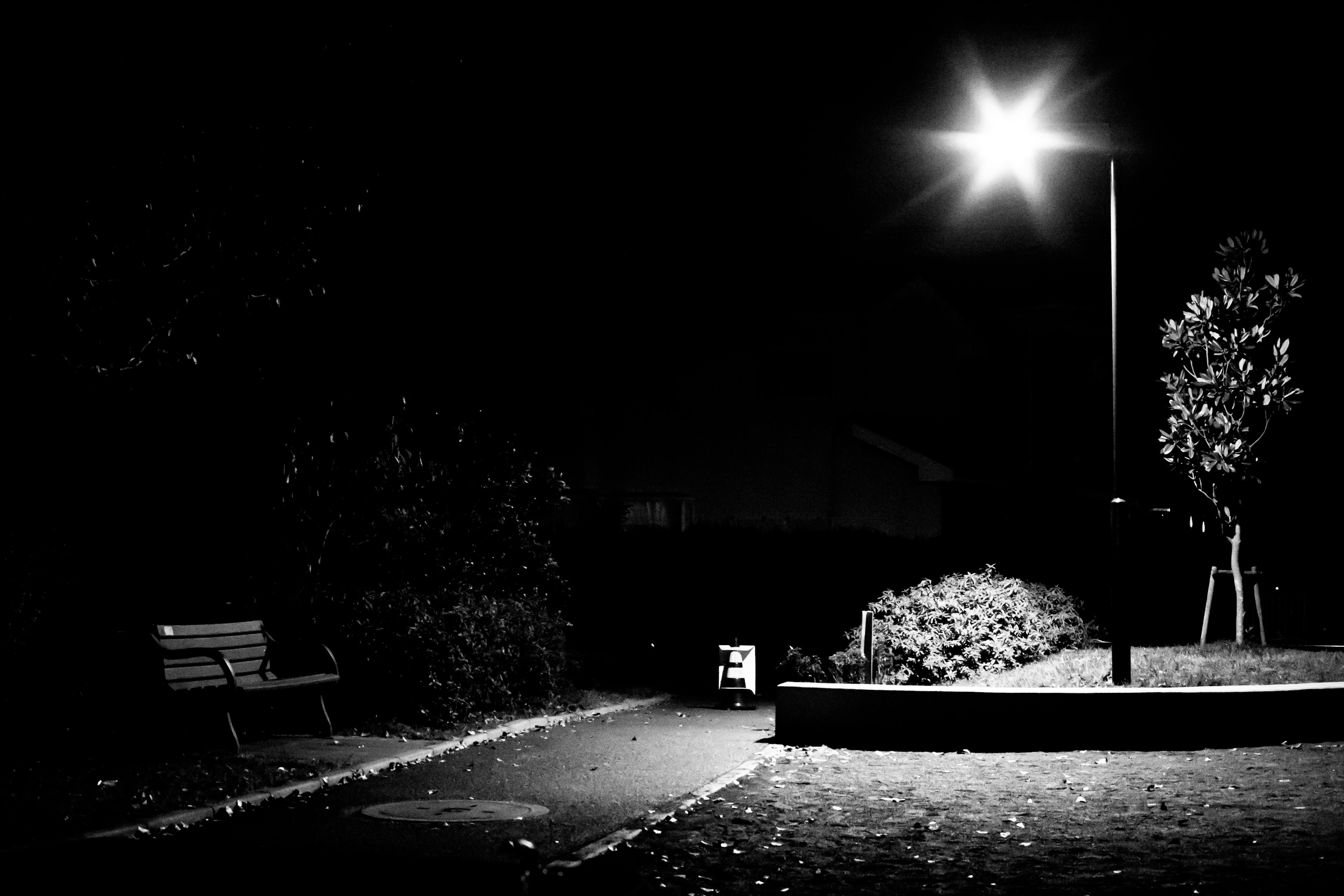 Escena nocturna de un banco de parque y una farola