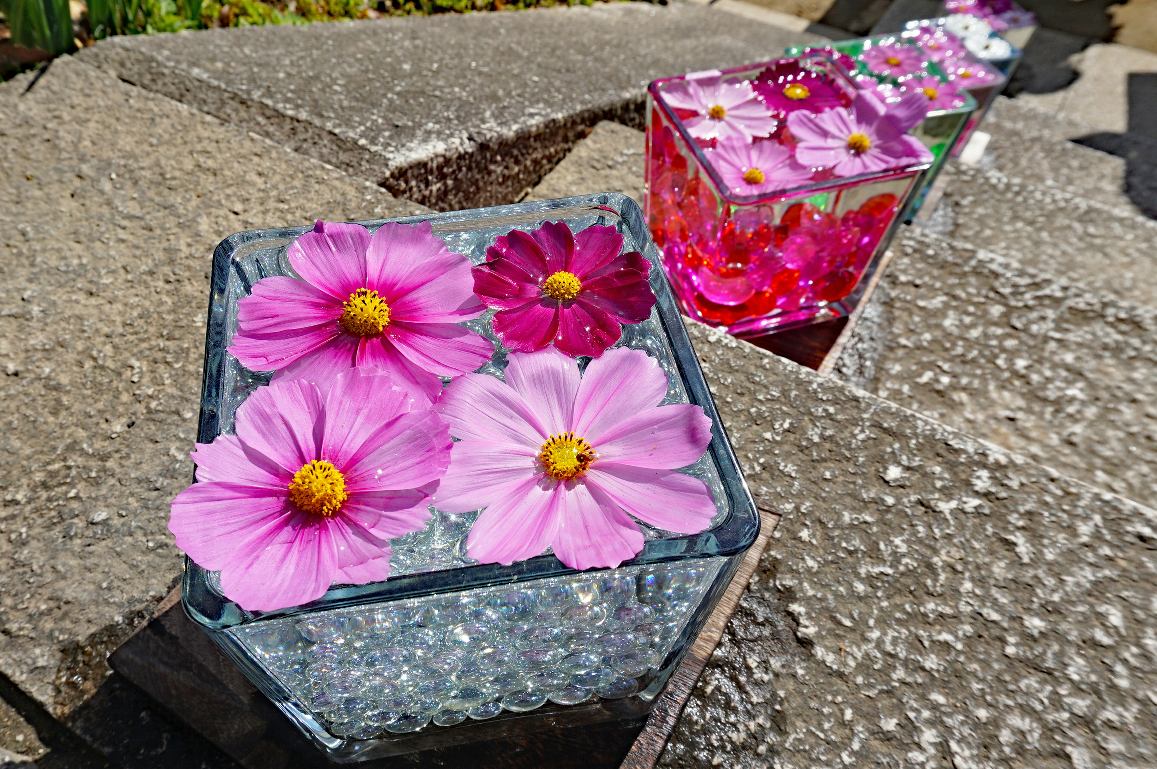 Pink flowers floating in clear containers with ice