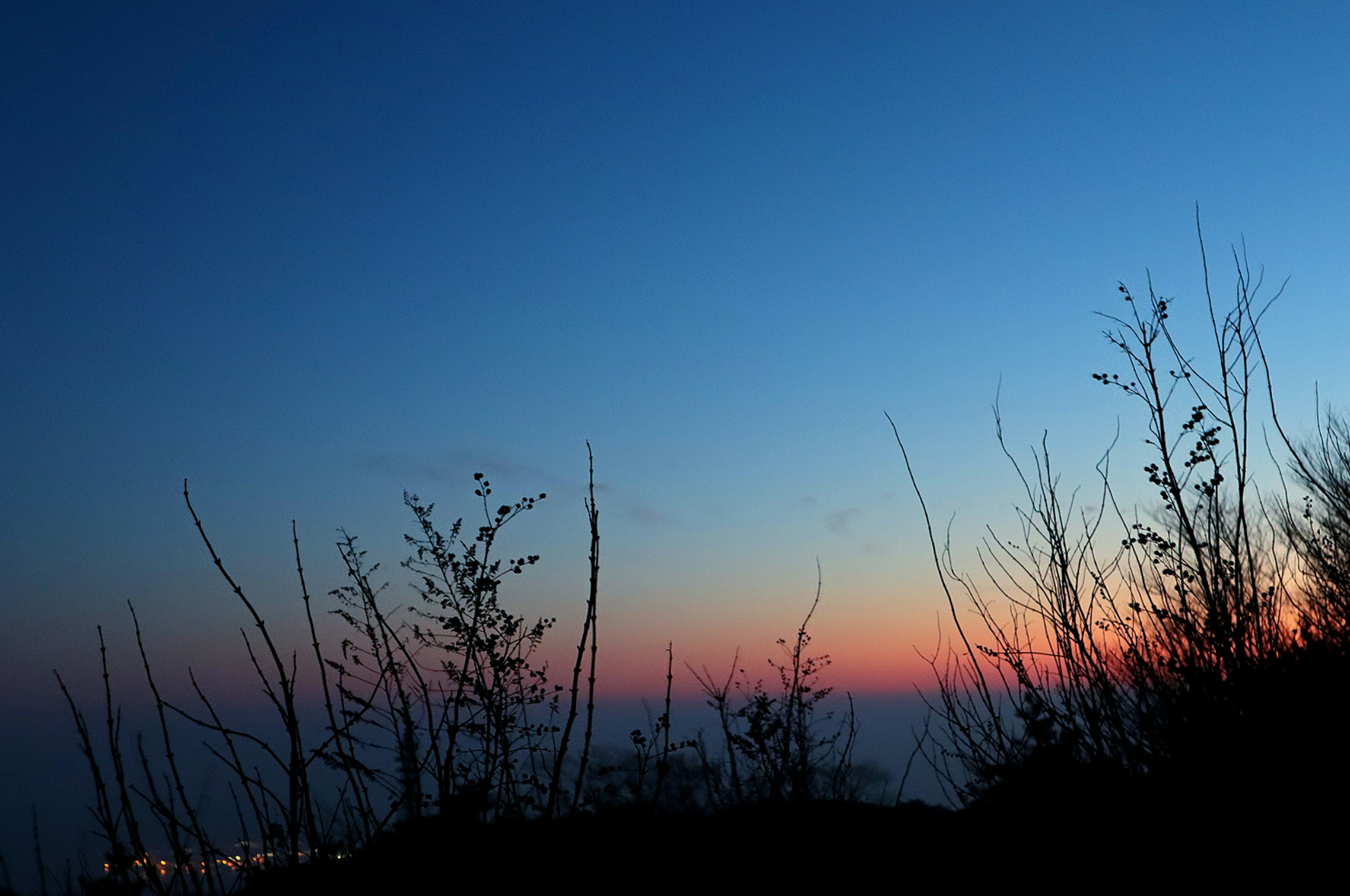 Cielo al atardecer con gradiente azul y naranja, hierba en silueta