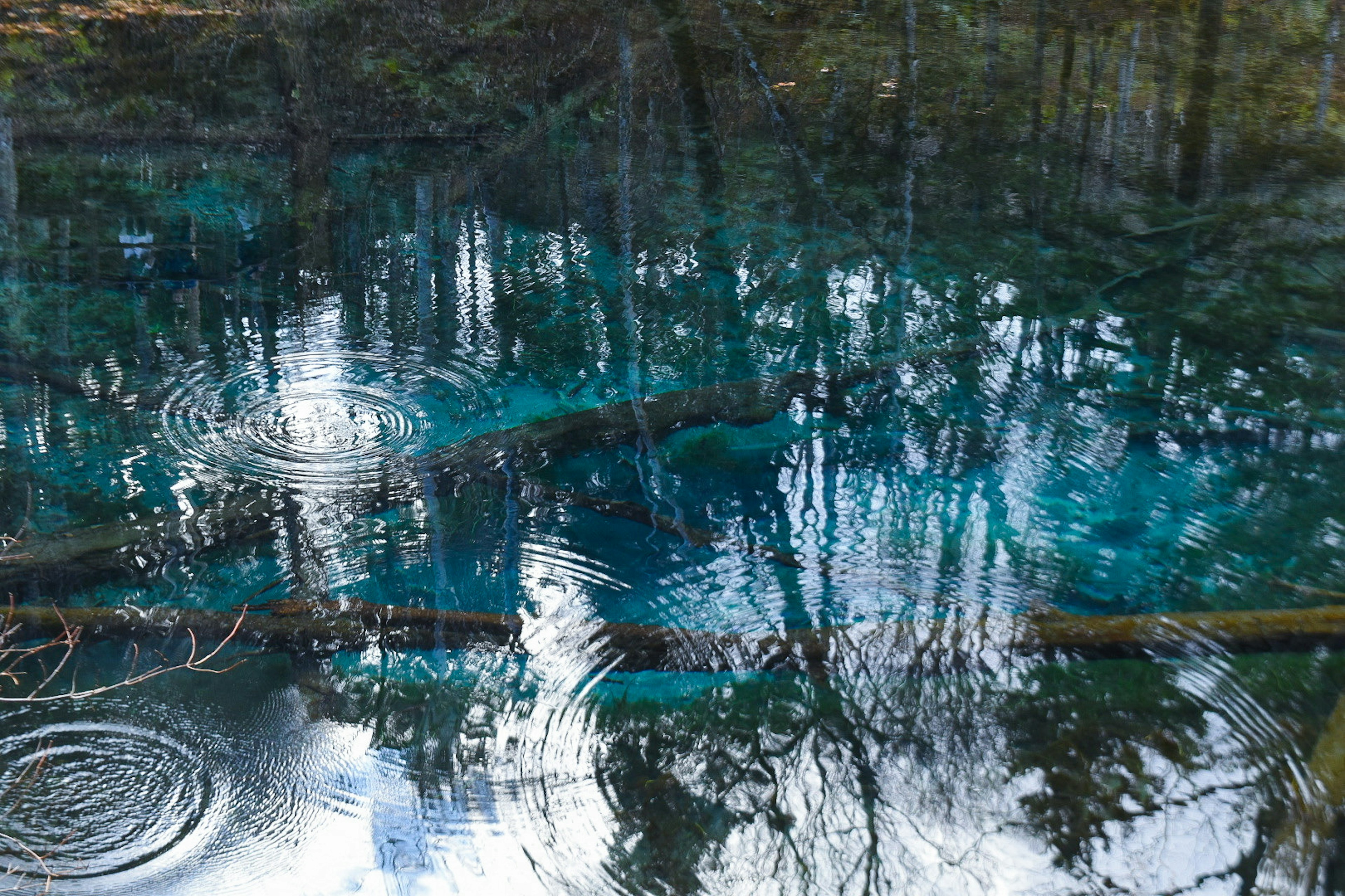 Eine malerische Ansicht von blauem Wasser, das Bäume und Wellen reflektiert