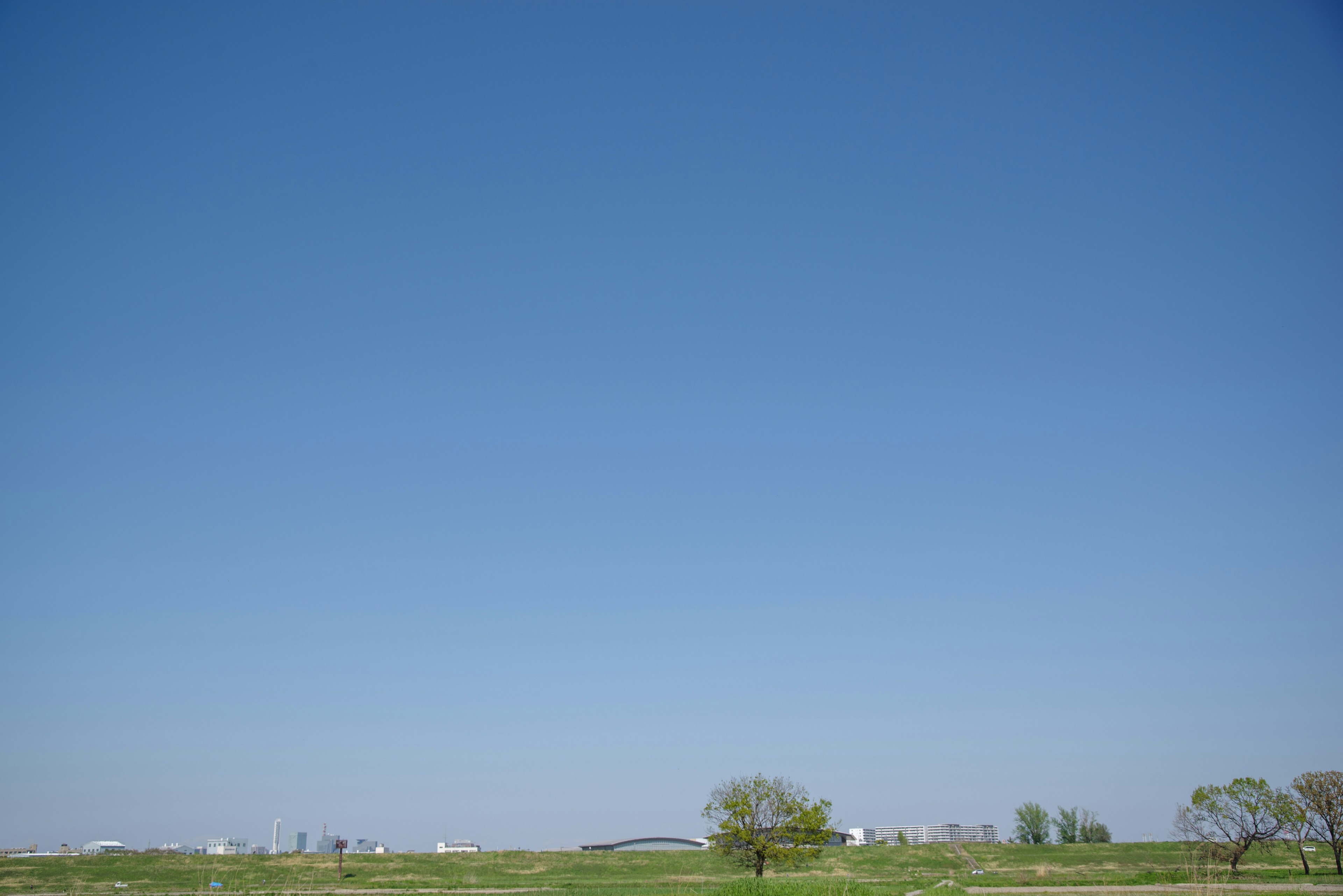 Pradera bajo un cielo azul claro con un árbol solitario