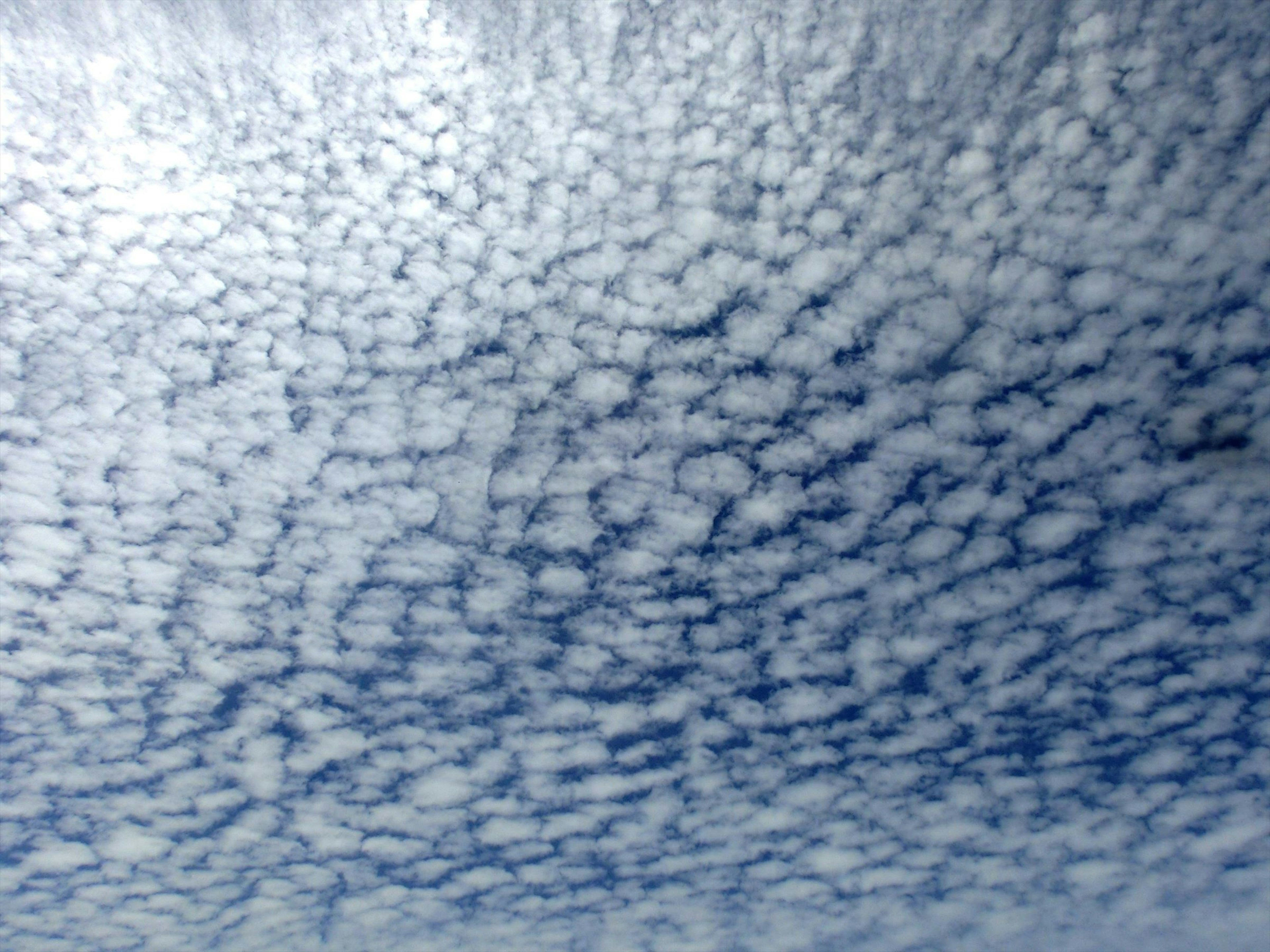 Ein einzigartiges Wolkenmuster breitet sich über einen blauen Himmel aus