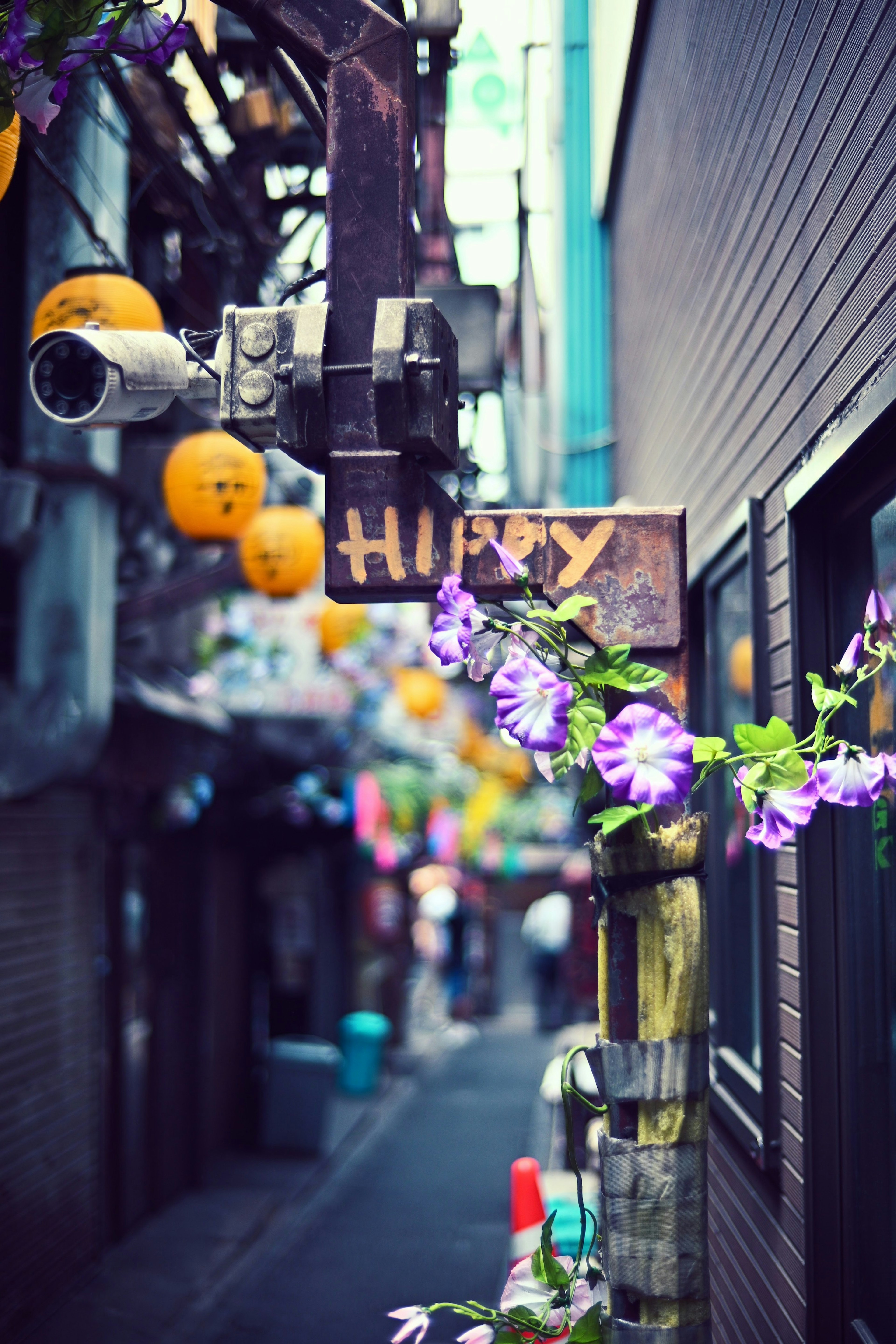 Narrow alley featuring a Happy sign and purple flowers