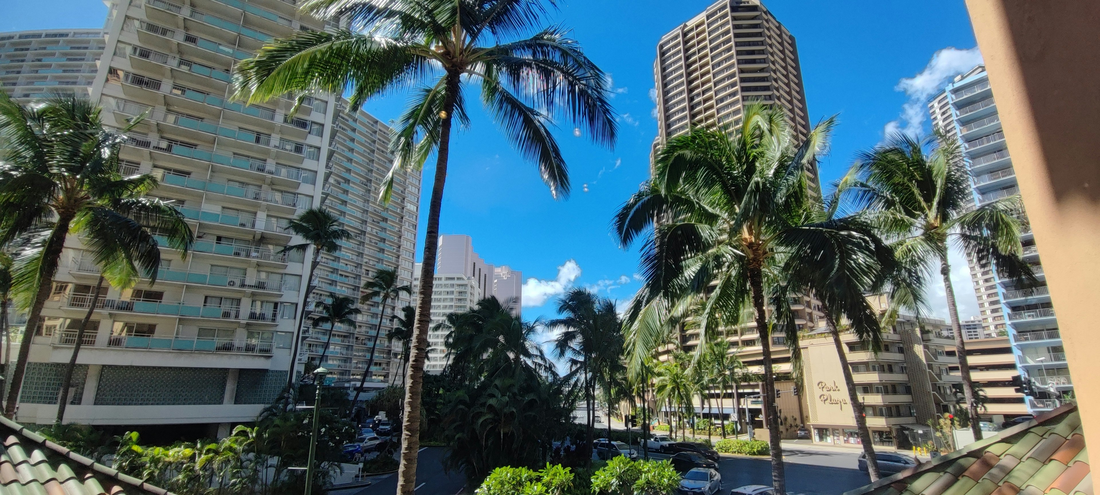 View of tall buildings and palm trees under a clear blue sky