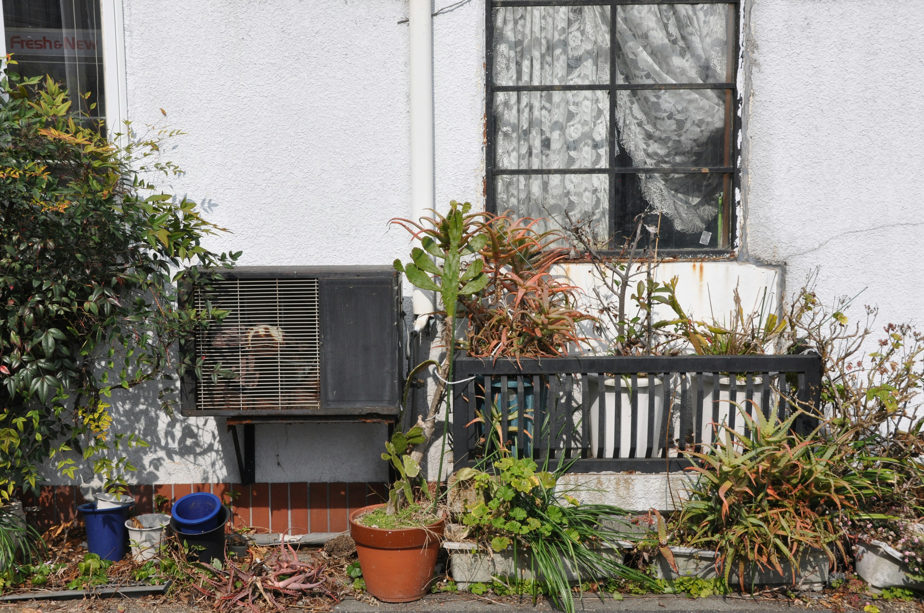 Balcone con piante in vaso e unità di condizionamento vicino a una finestra