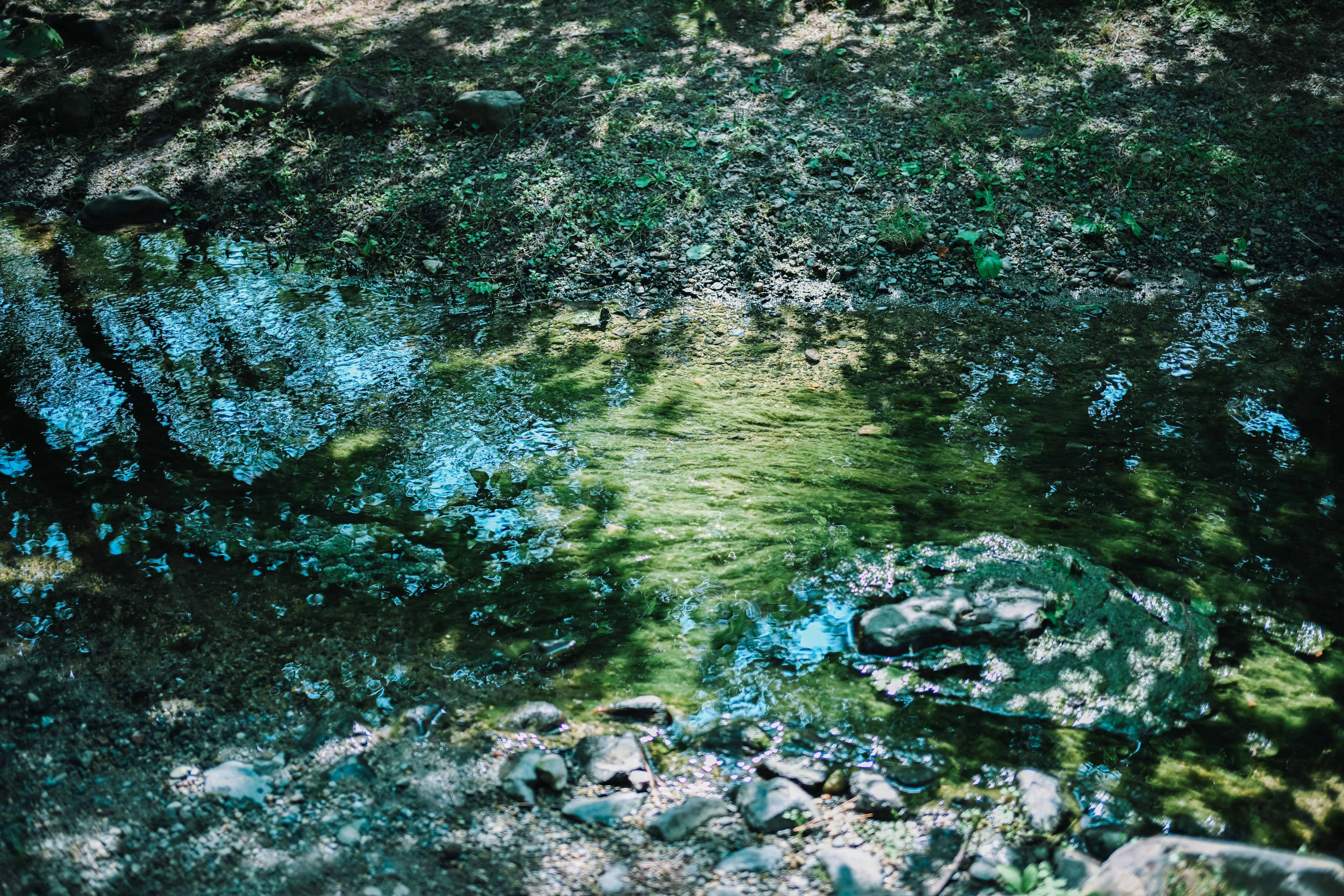 Ruscello con riflessi di superficie d'acqua verde e blu