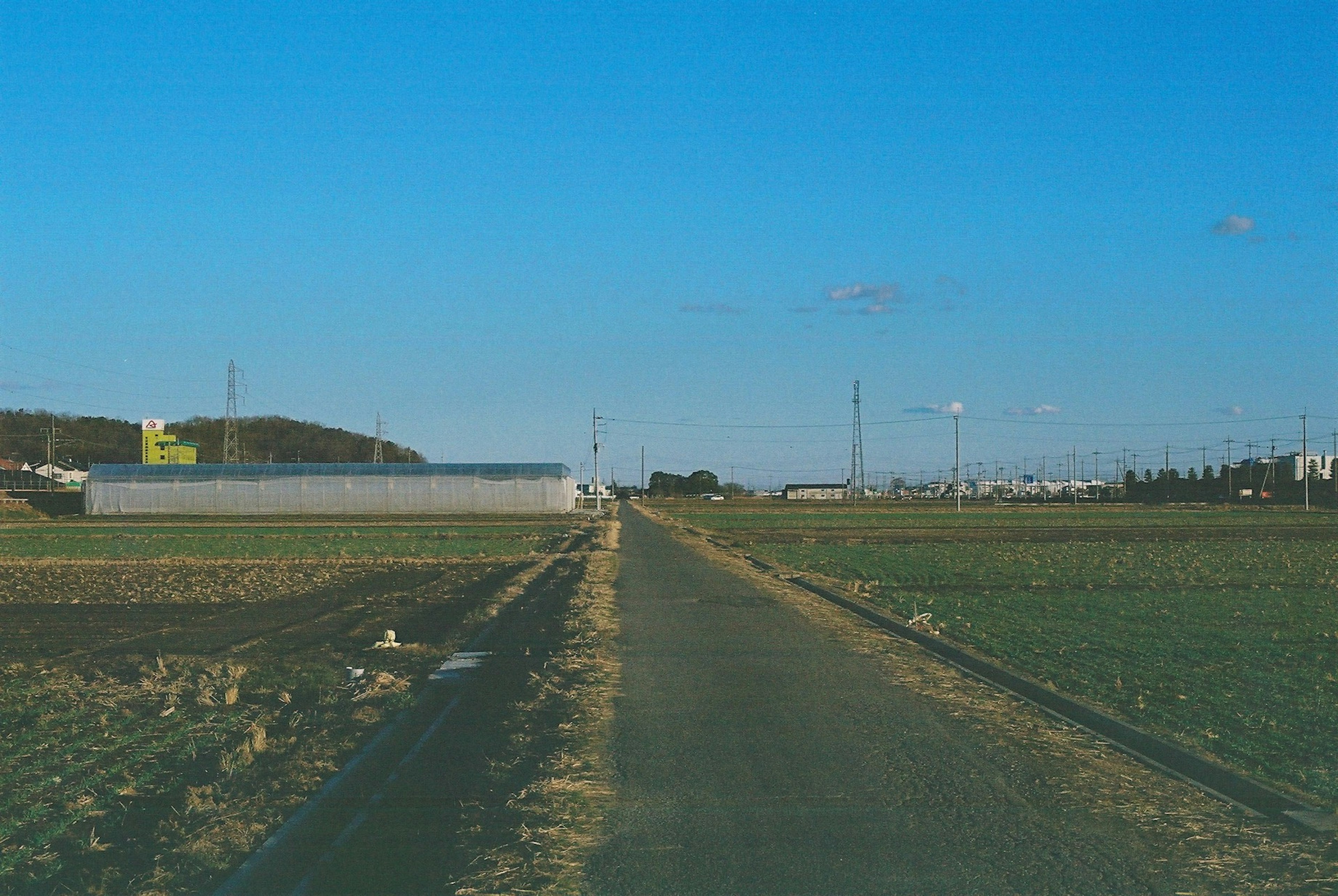 青空の下に広がる田舎道と農地周辺の風景