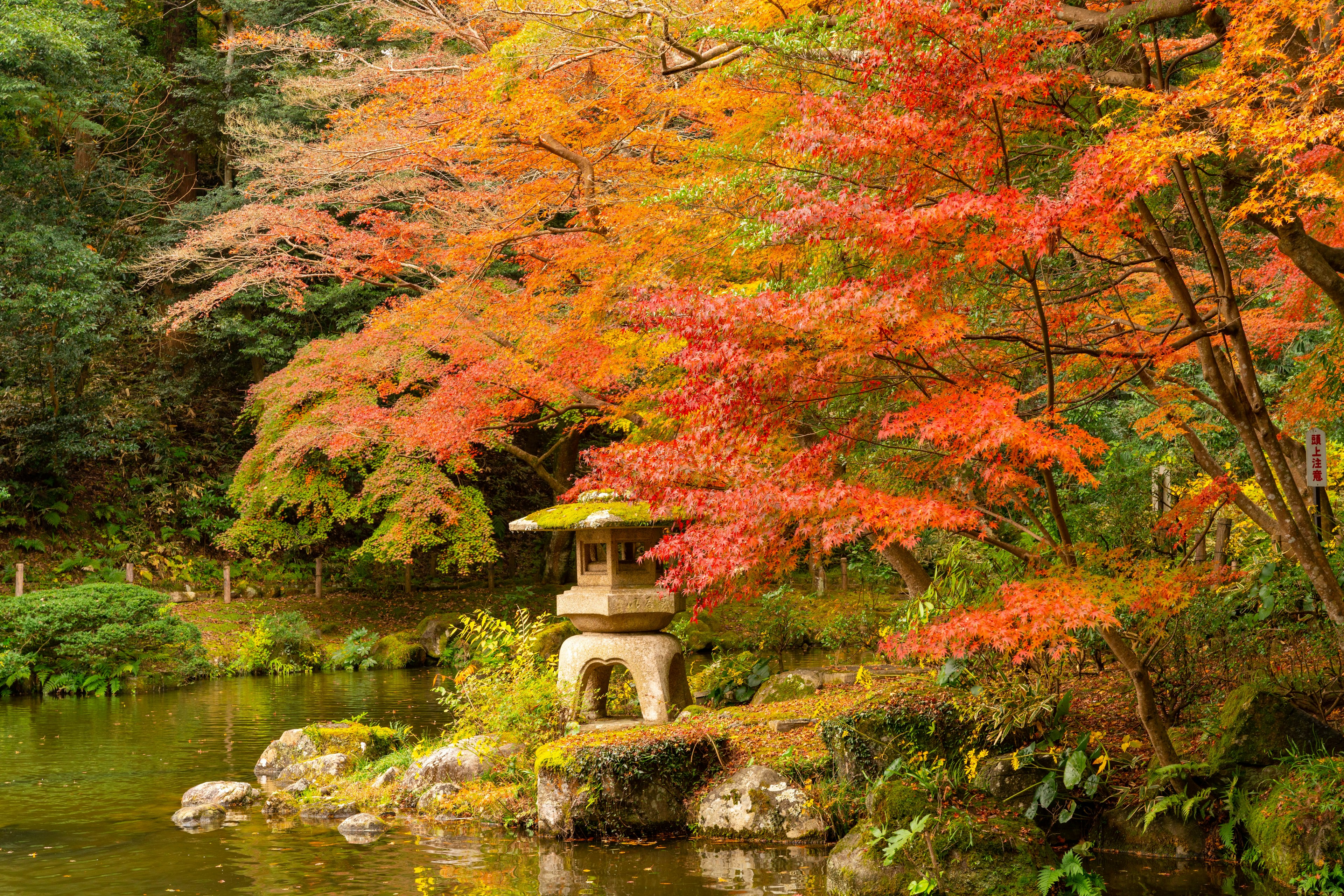 Stone lantern beside a pond surrounded by autumn foliage and greenery